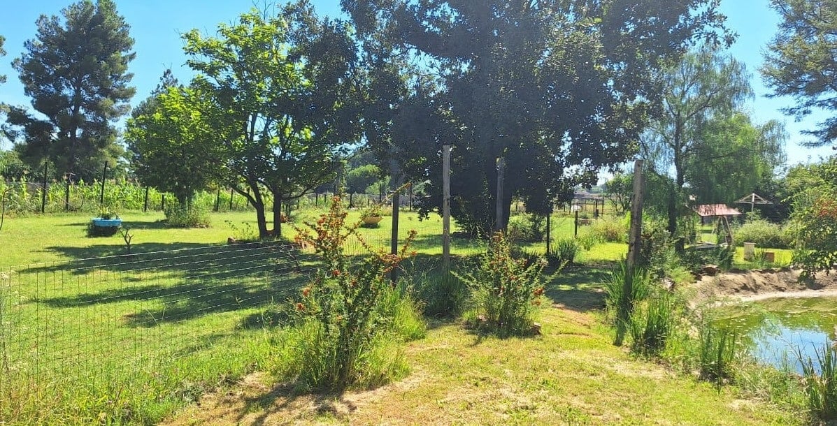 Live, Rent, Earn – Multi-Dwelling Farm-Style Property in Walker Fruit Farms