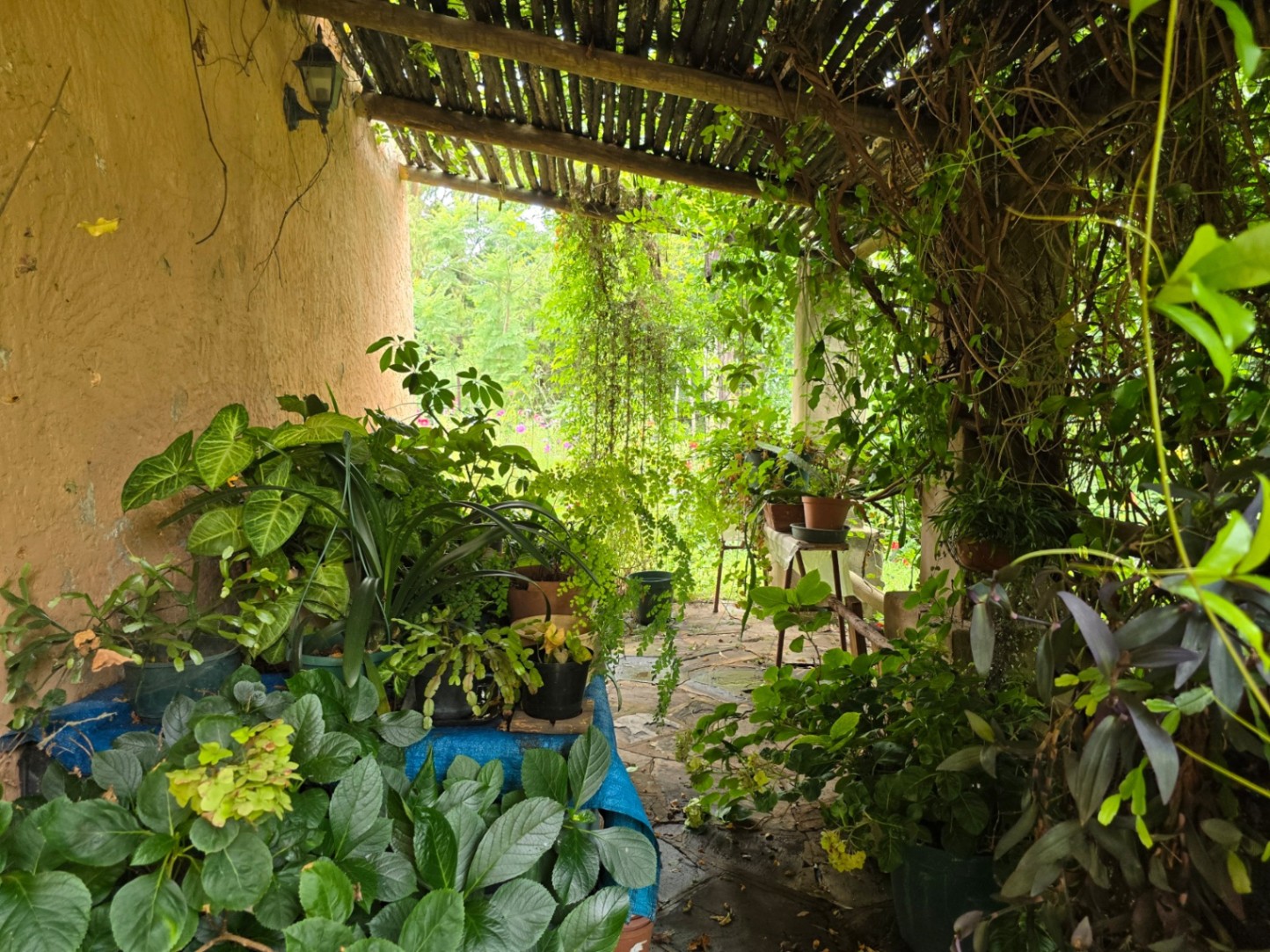 Property Pic