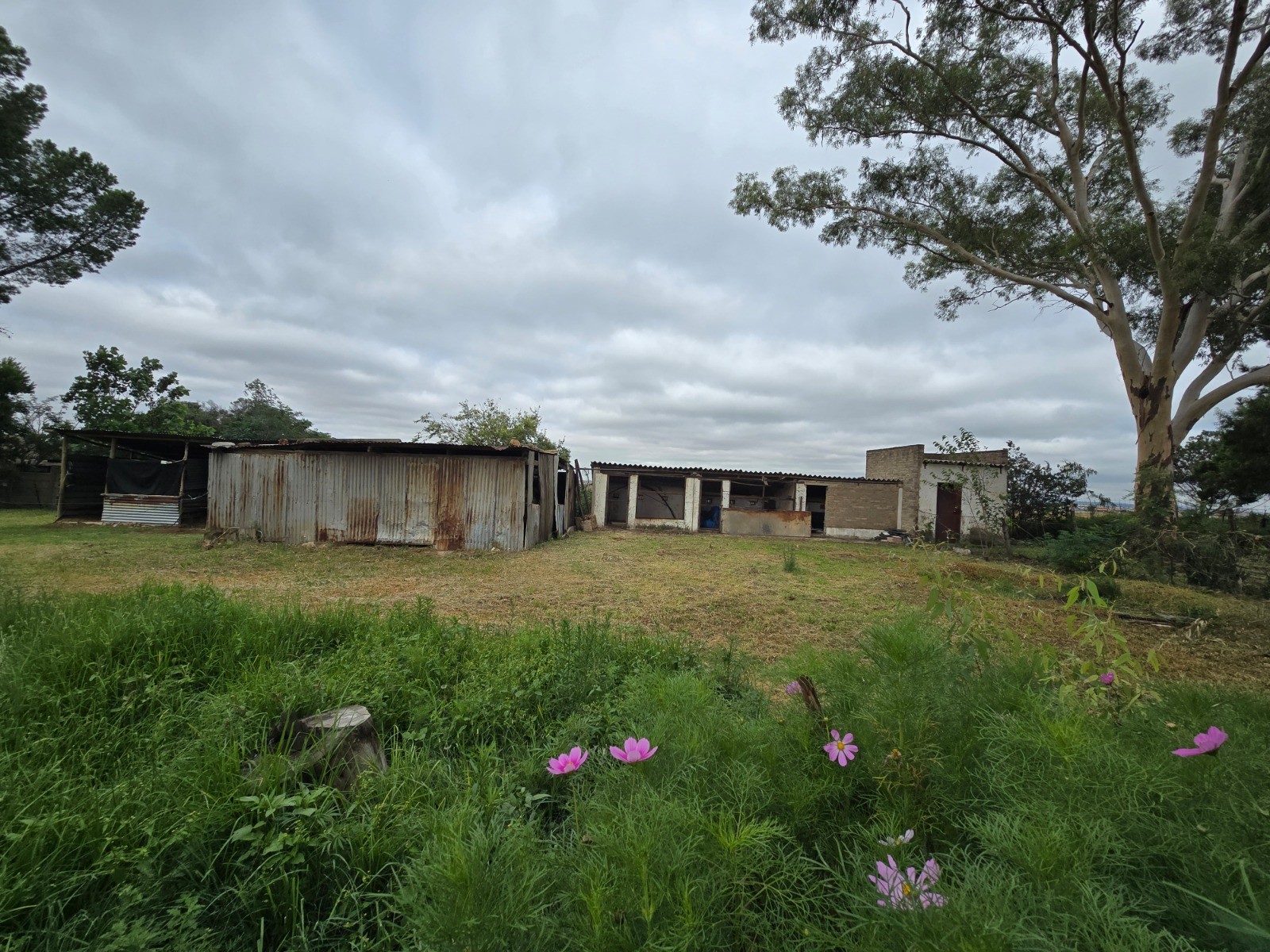 Property Pic