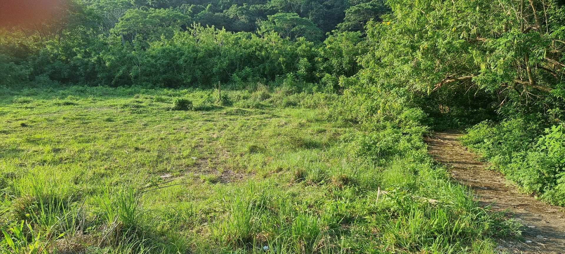 Property Pic