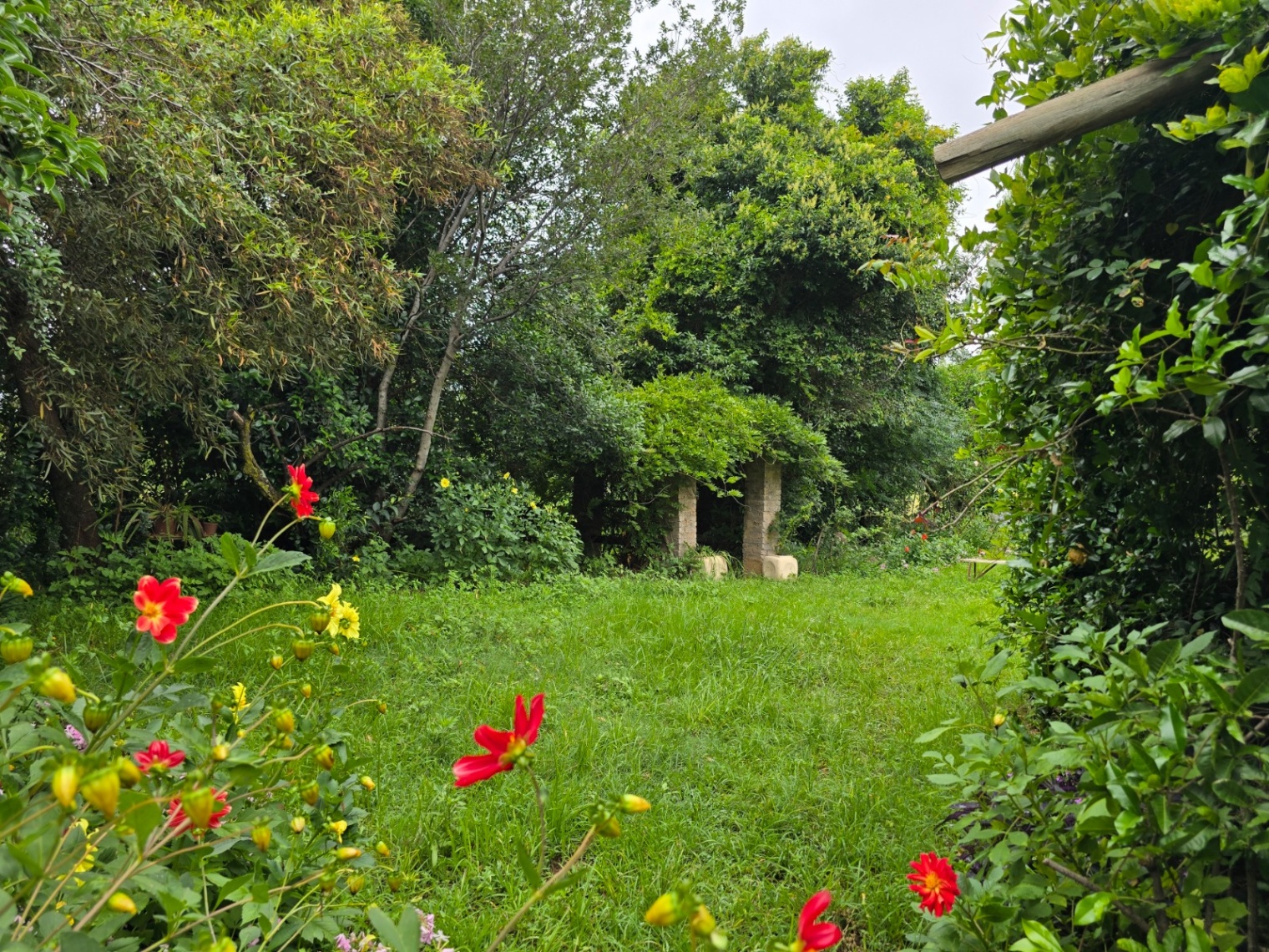 Property Pic