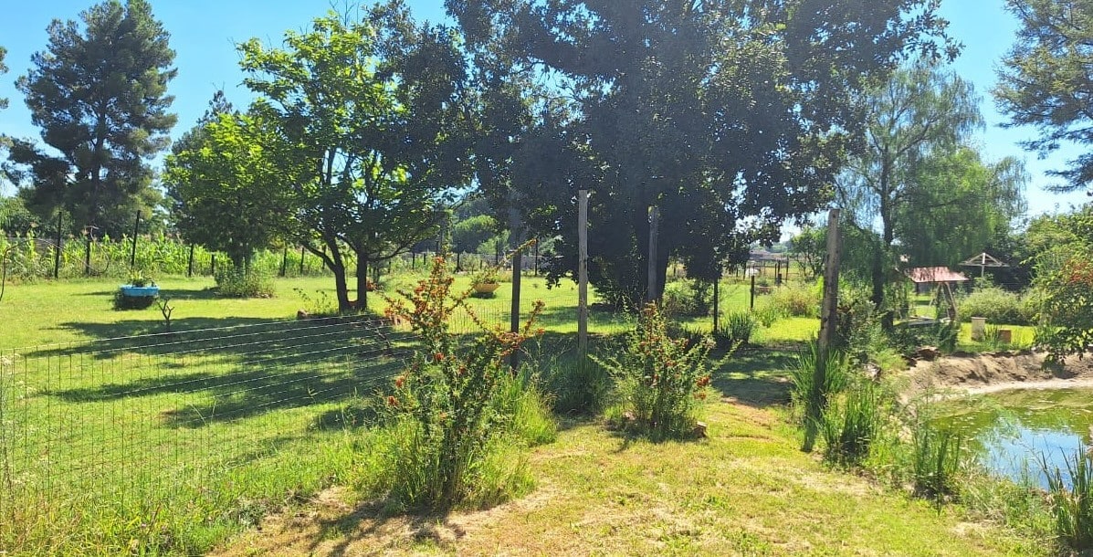 Property Pic