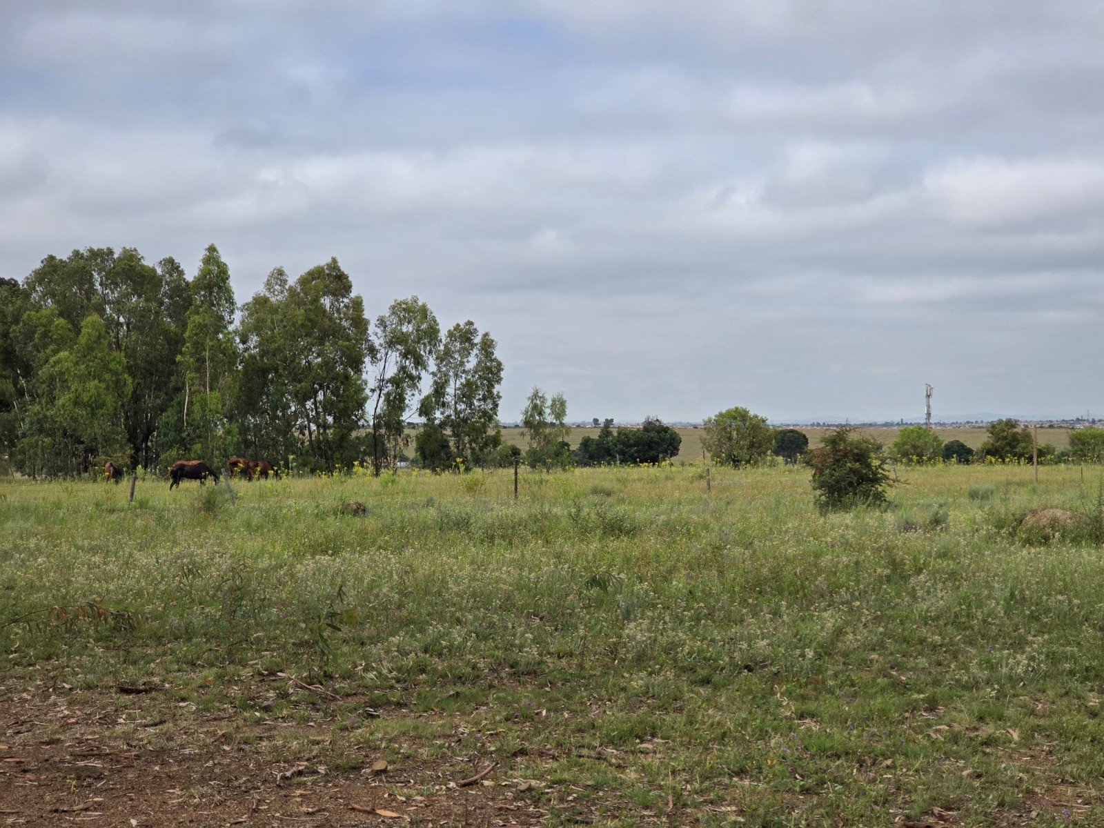 Property Pic
