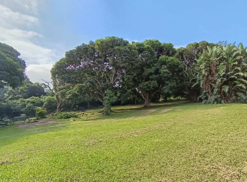 Property Pic