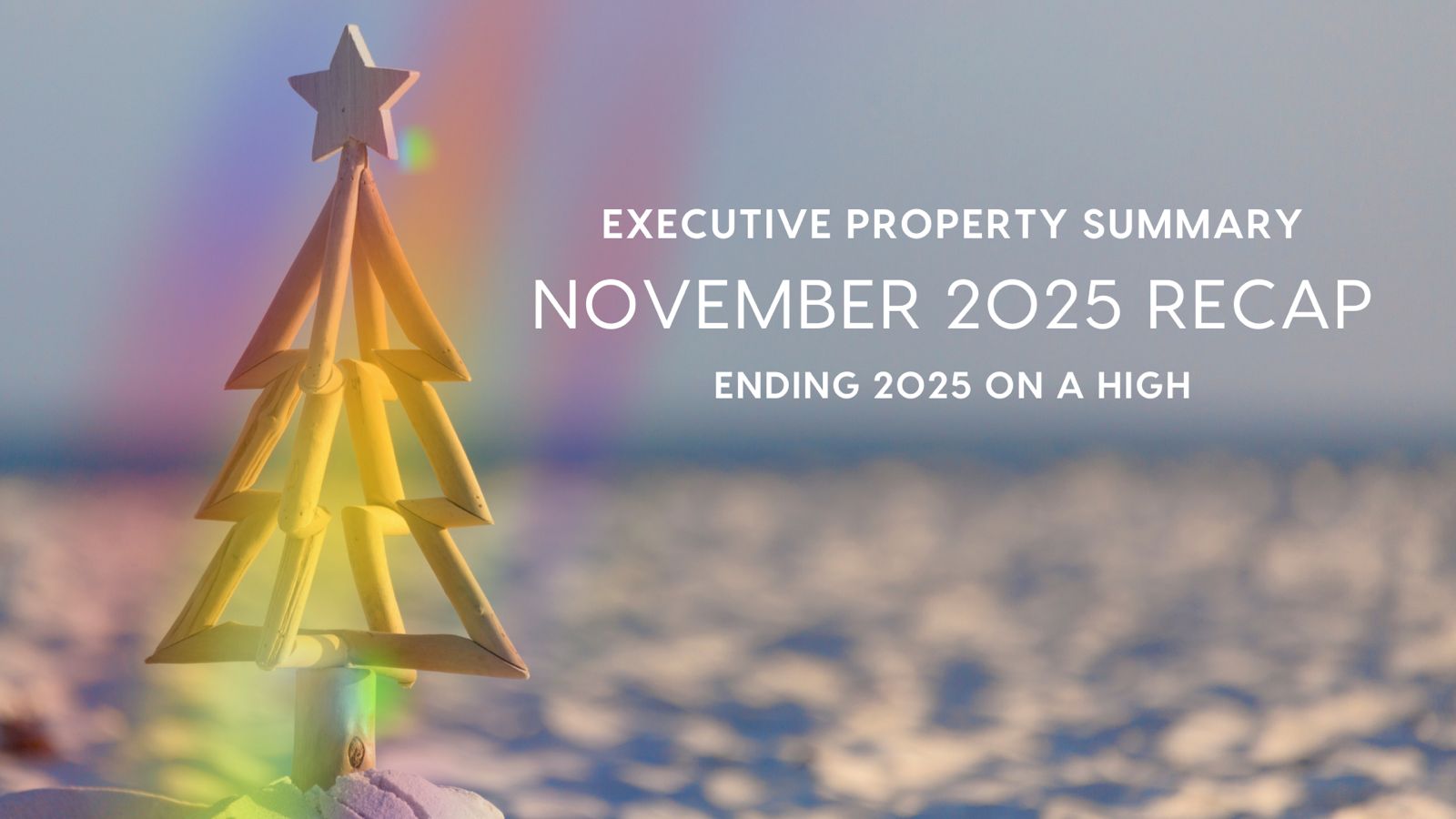 The Executive Property Summary November 2025