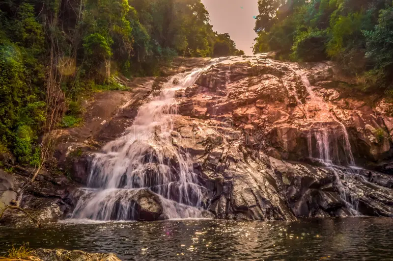 Discover Tzaneen: A Strategic Property Investment in Limpopo’s “Tropical Garden Town”