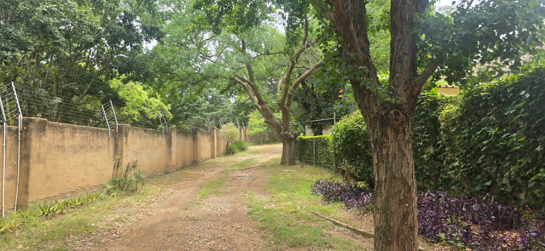 A Dream Equestrian Estate Where Horses Come First