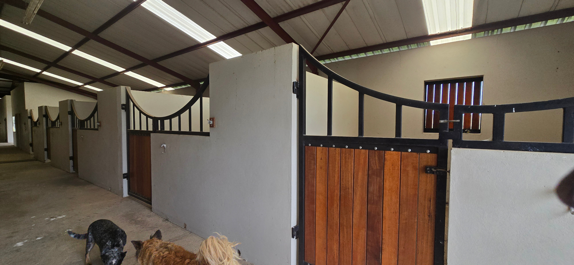 A Dream Equestrian Estate Where Horses Come First