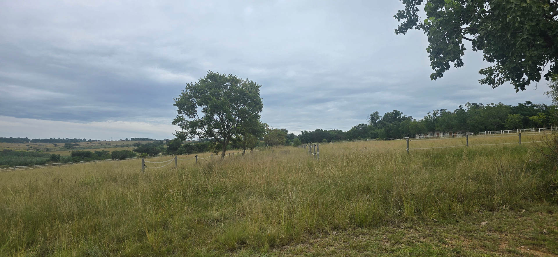 A Dream Equestrian Estate Where Horses Come First