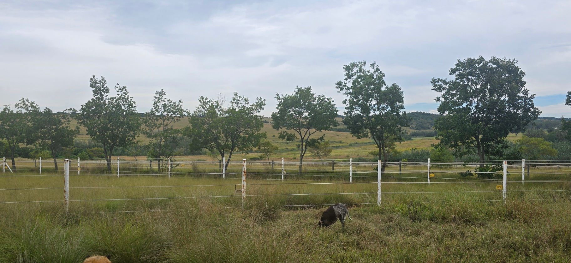 A Dream Equestrian Estate Where Horses Come First