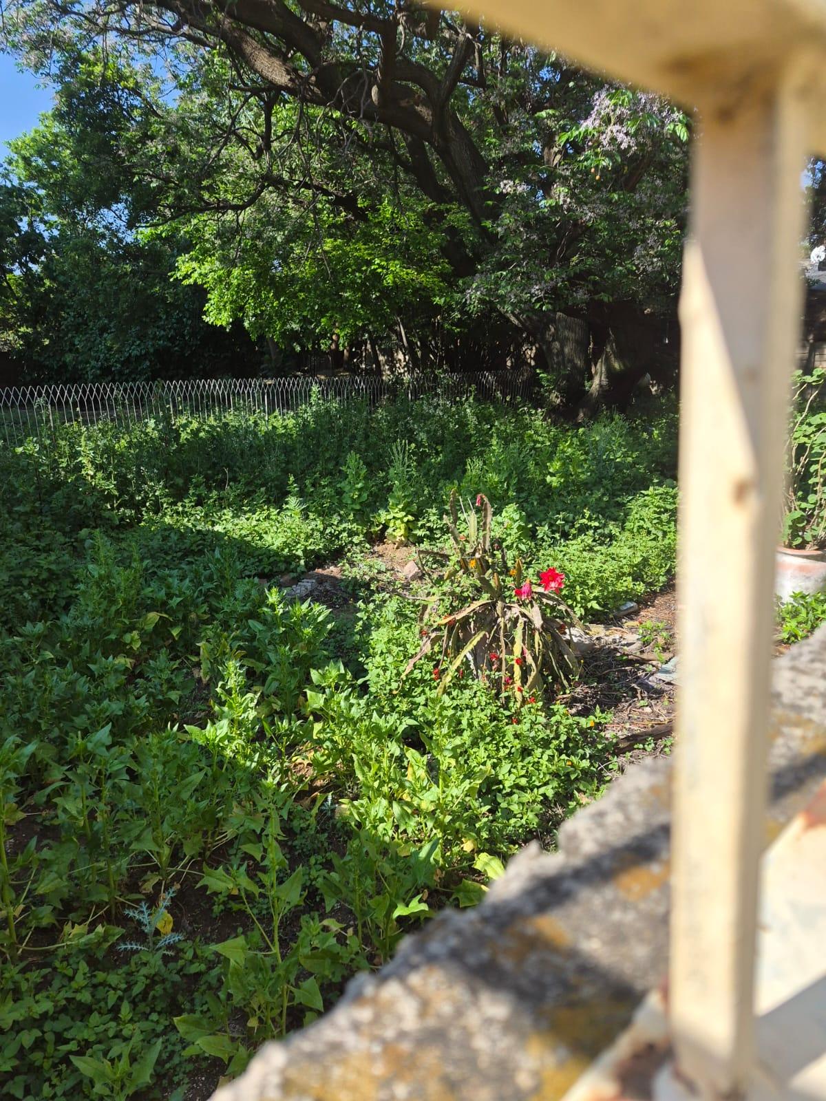 Unlock the Potential – A Spacious Property with Endless Possibilities! A true dream project to flip.