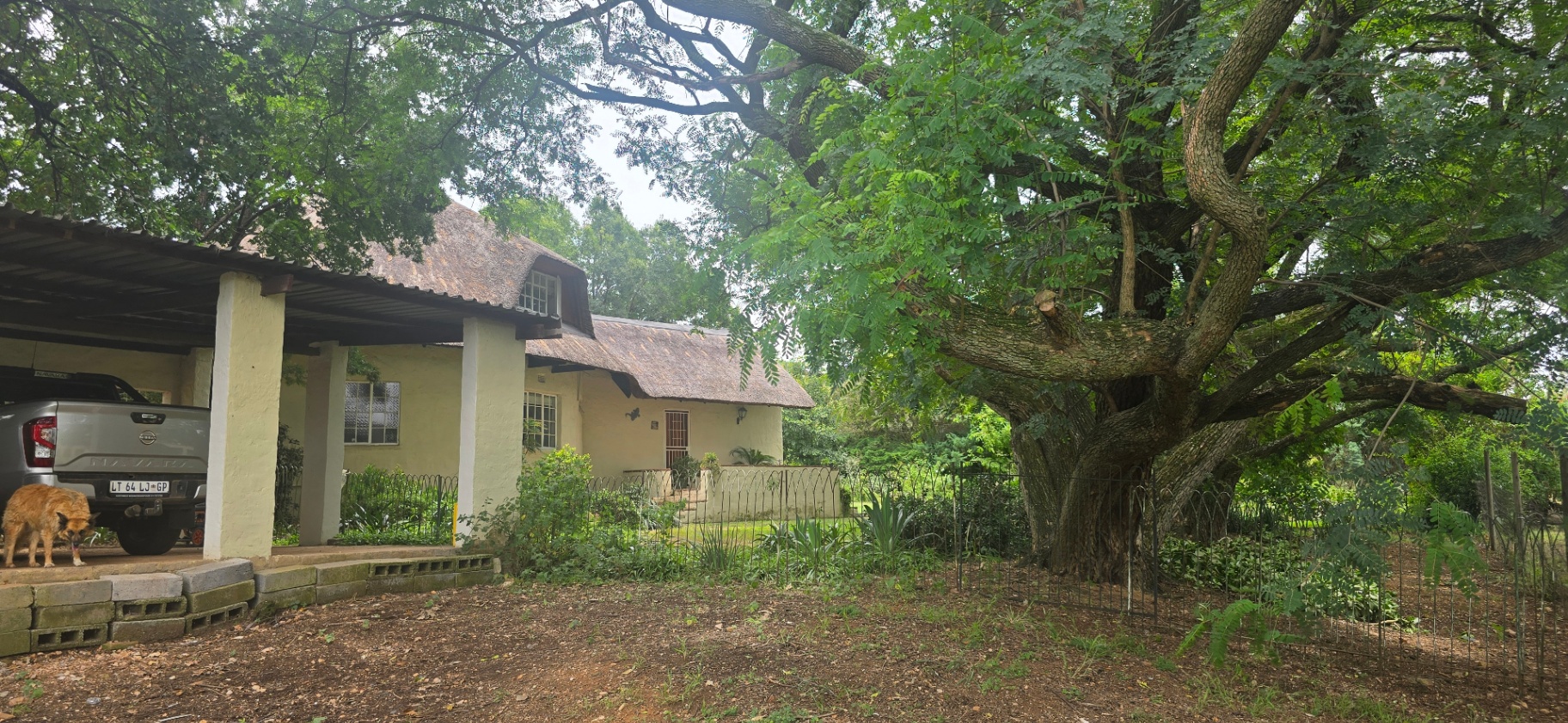 A Dream Equestrian Estate Where Horses Come First