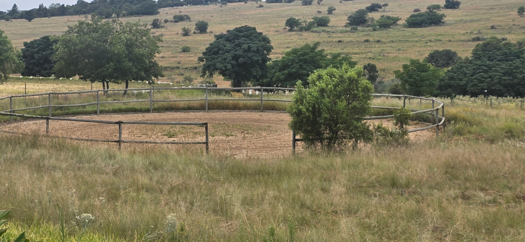 A Dream Equestrian Estate Where Horses Come First