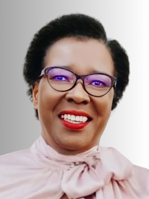 Dudu Seme