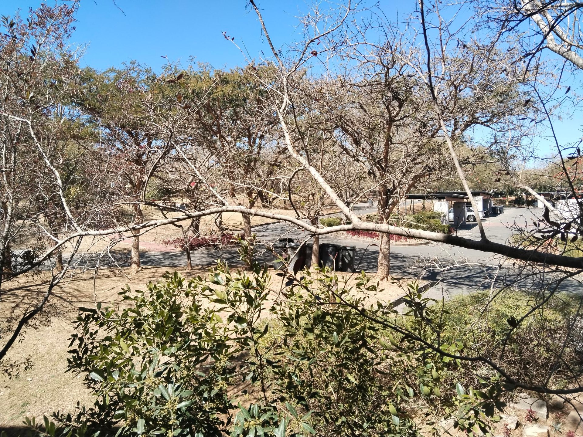 Property Pic
