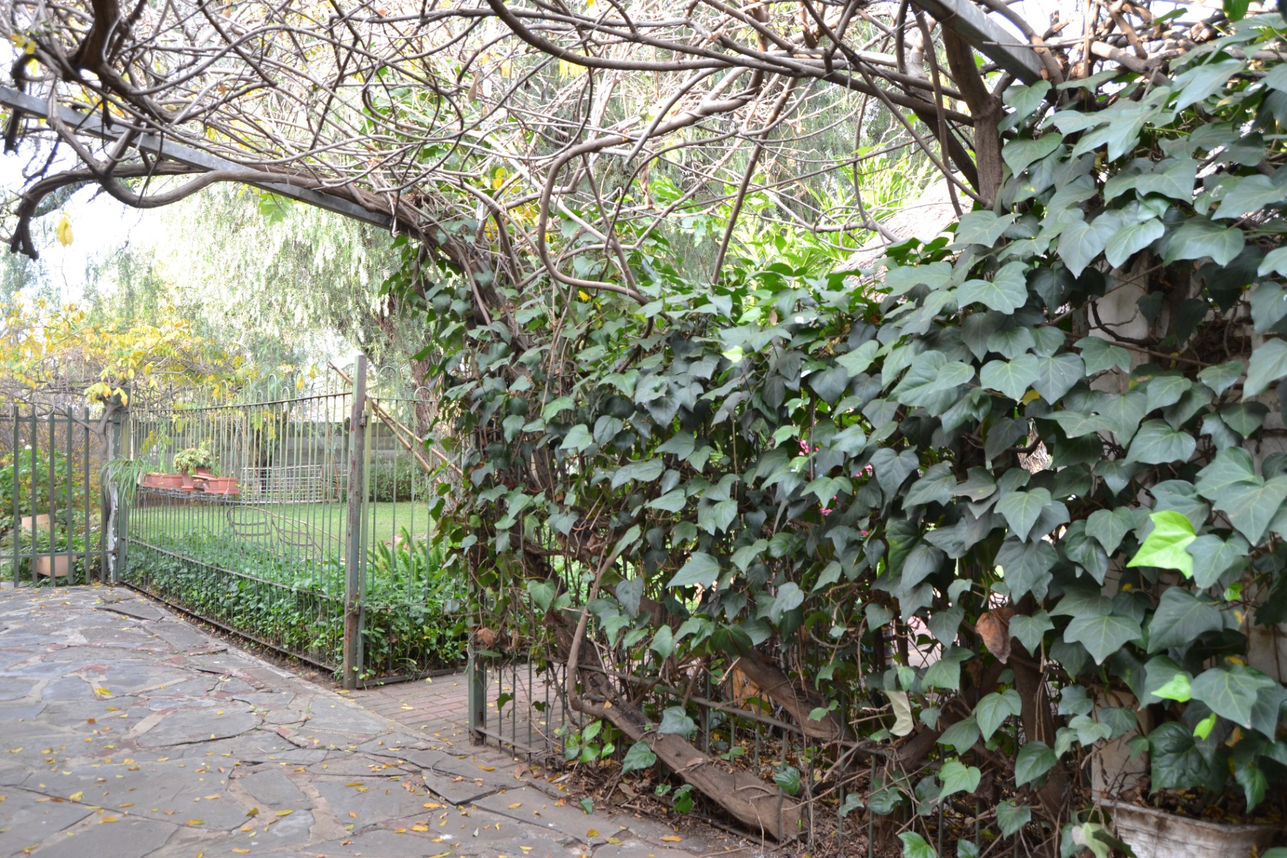 Property Pic