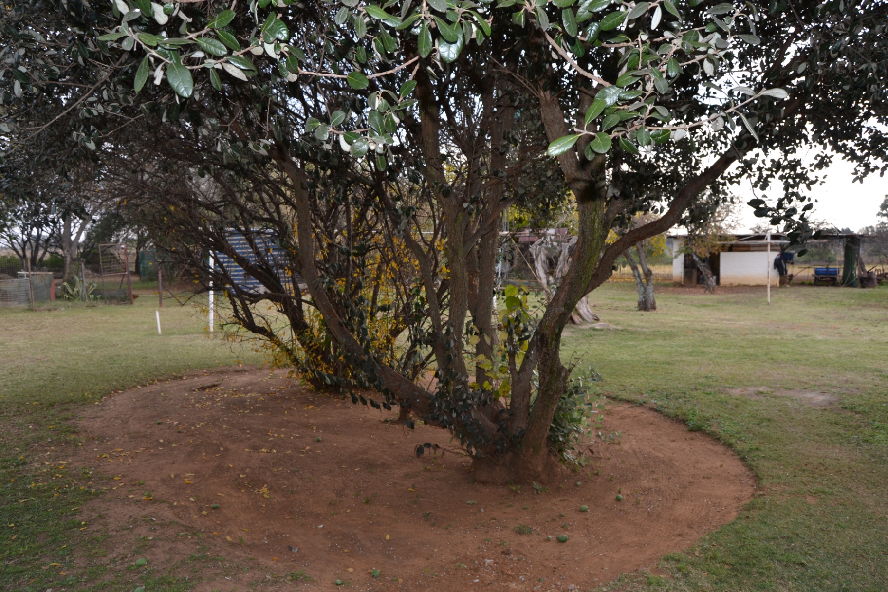 Property Pic