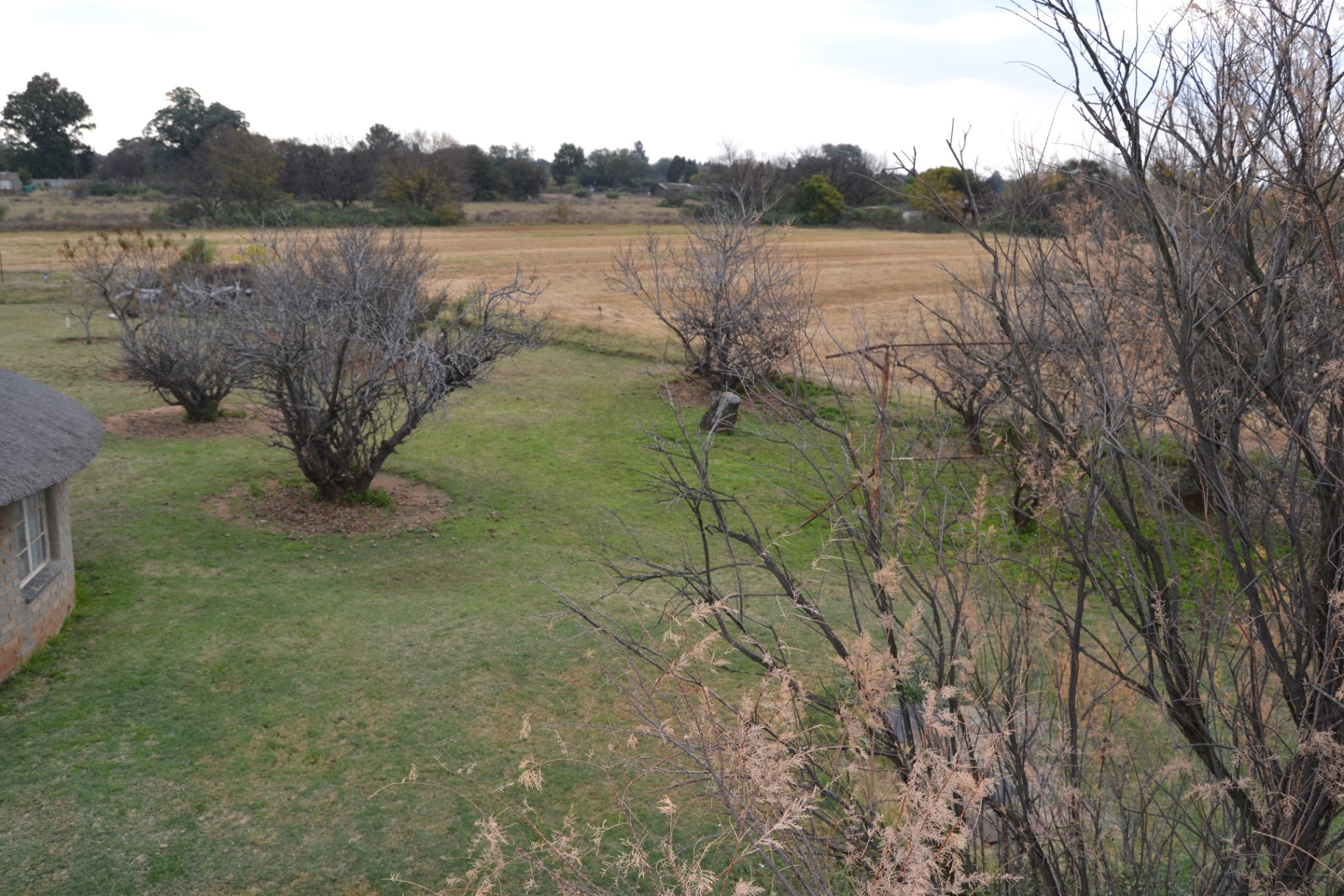 Property Pic