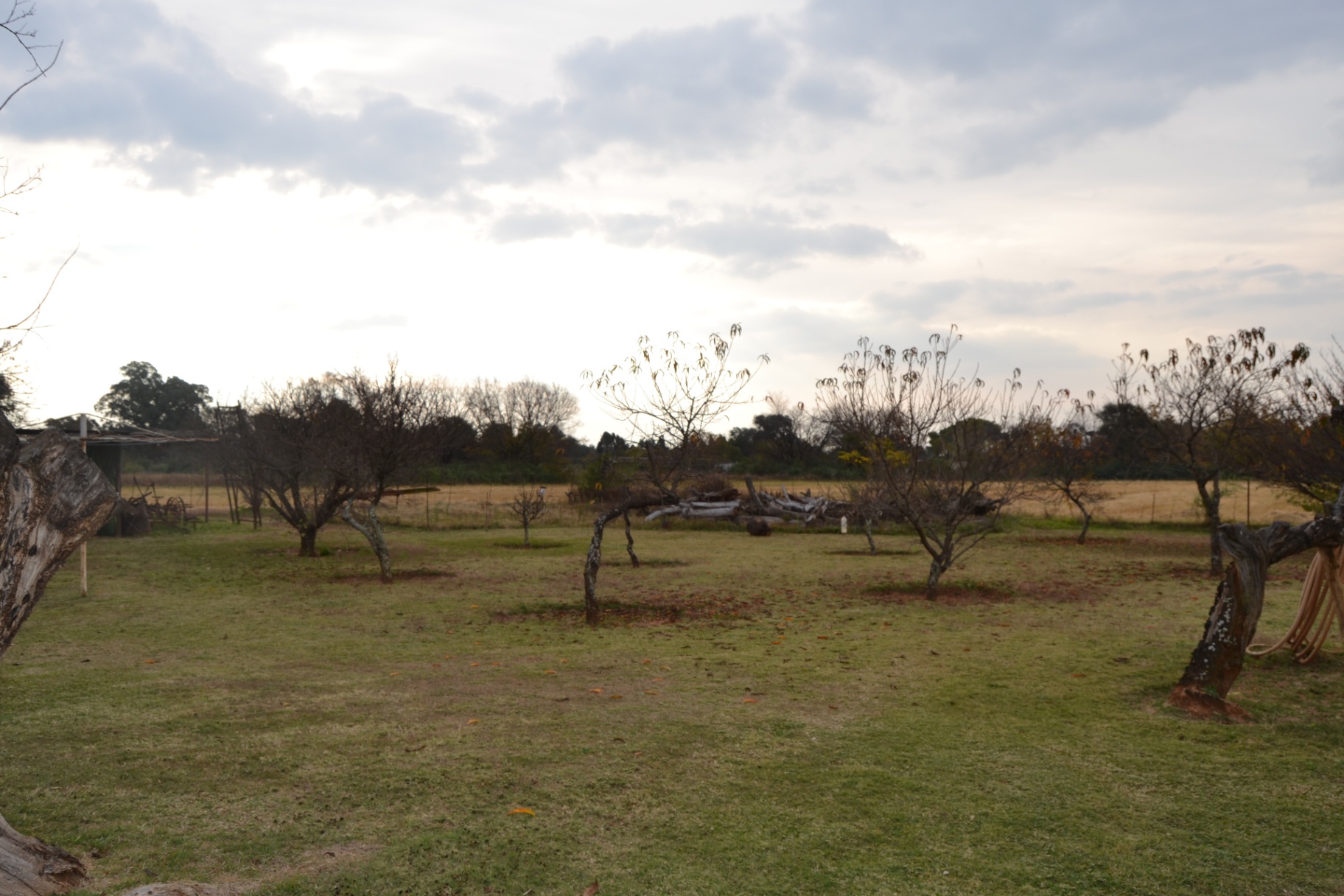 Property Pic