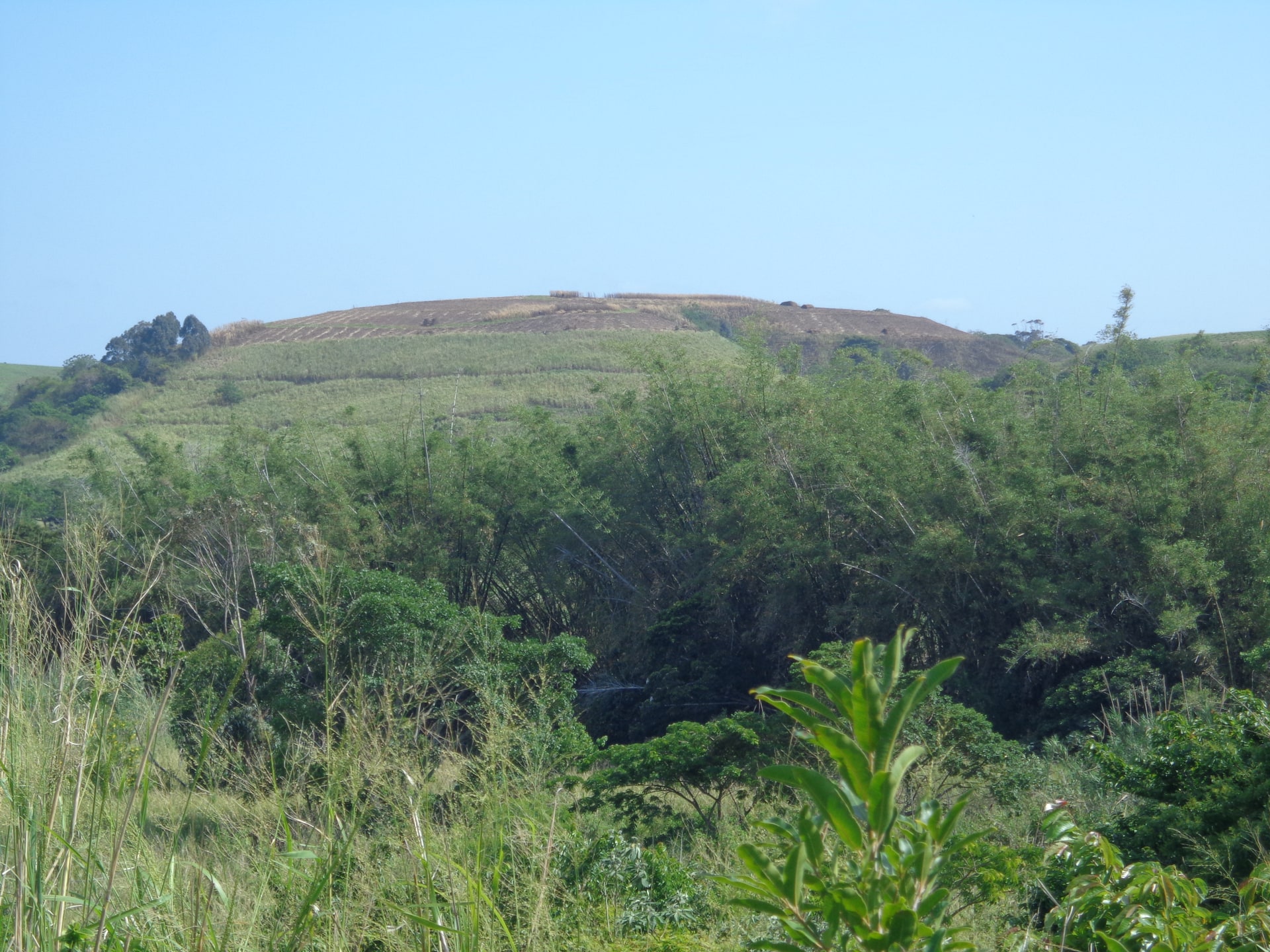 Property Pic