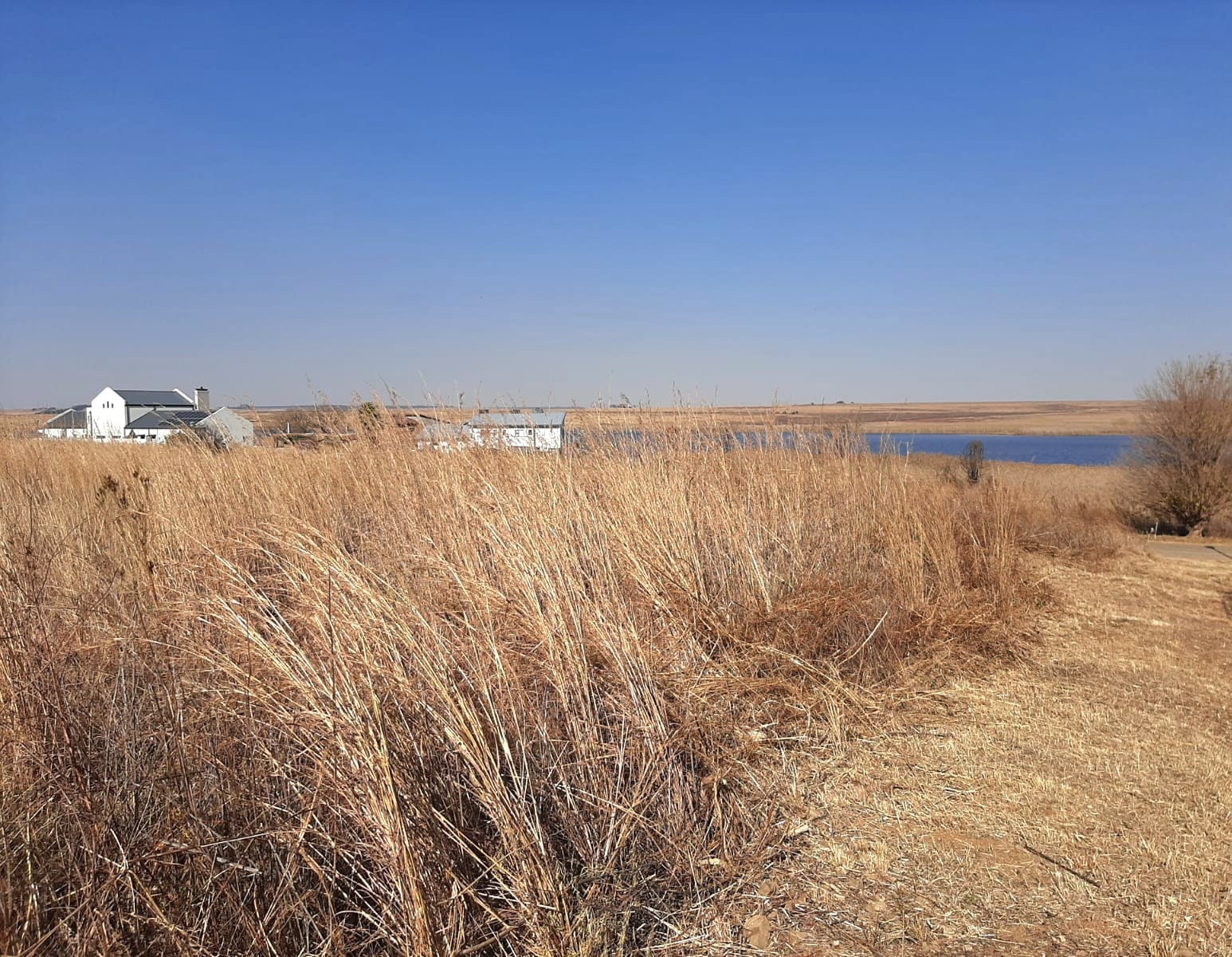 Property Pic