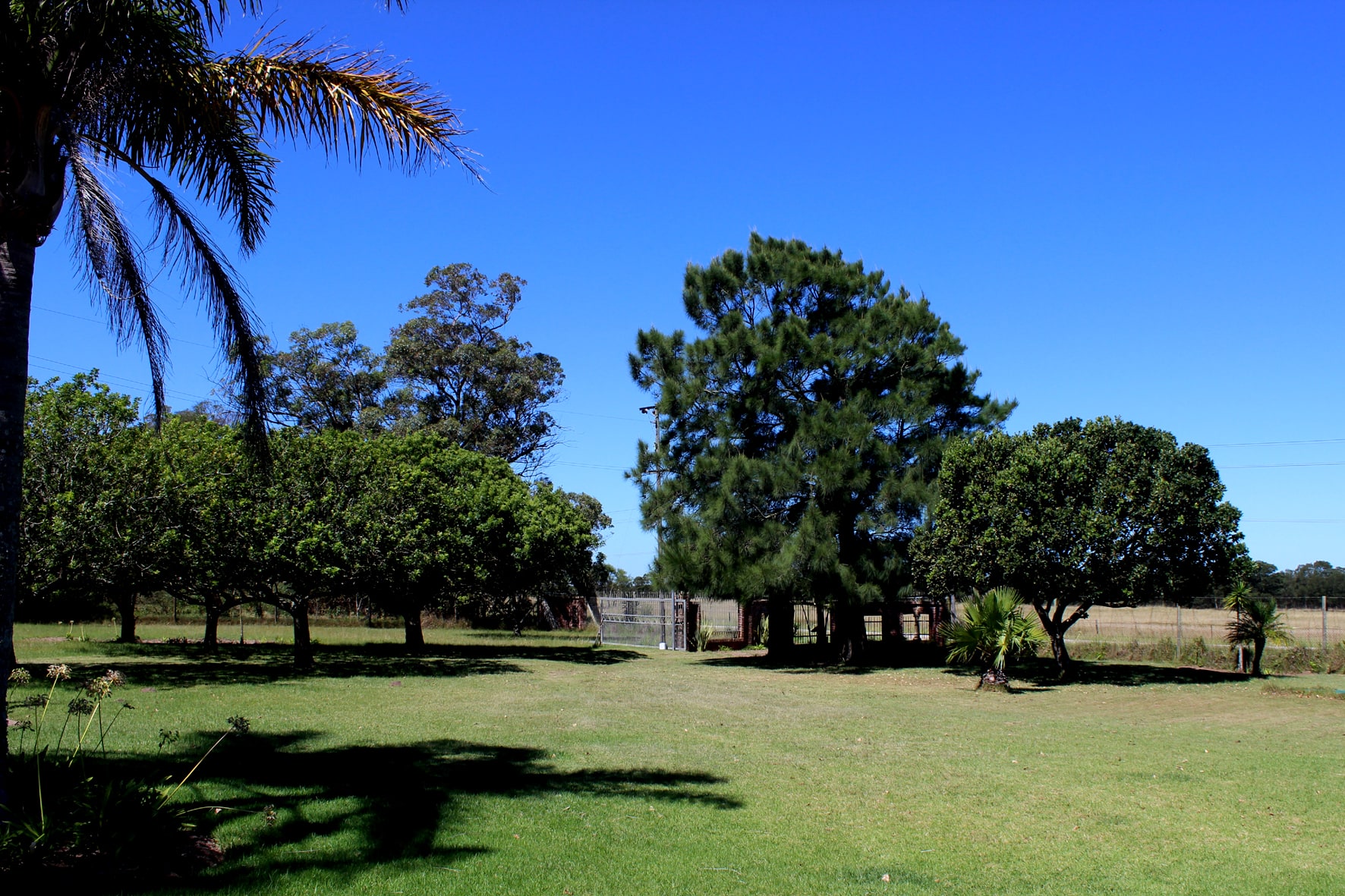 Property Pic