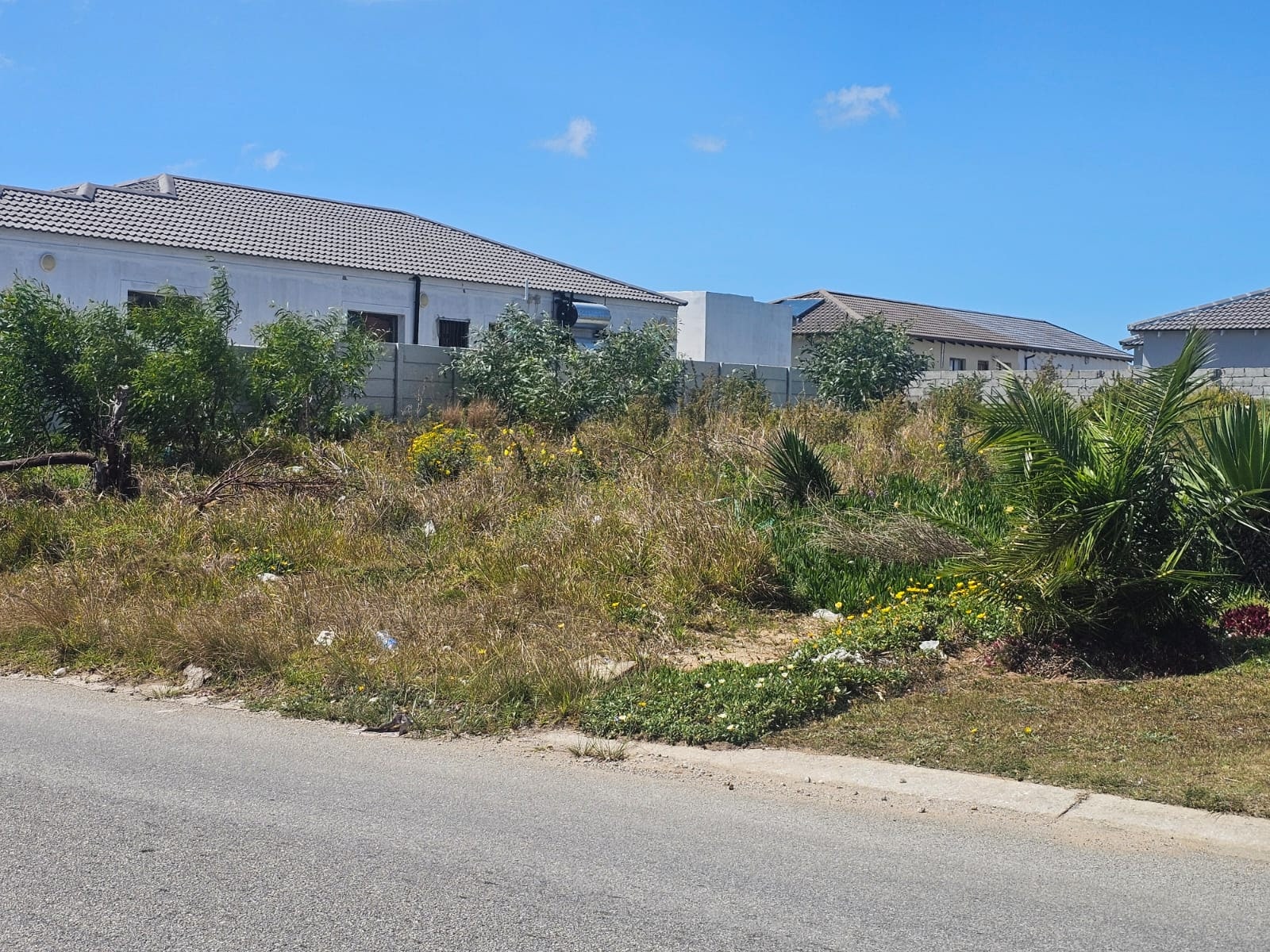 Property Pic