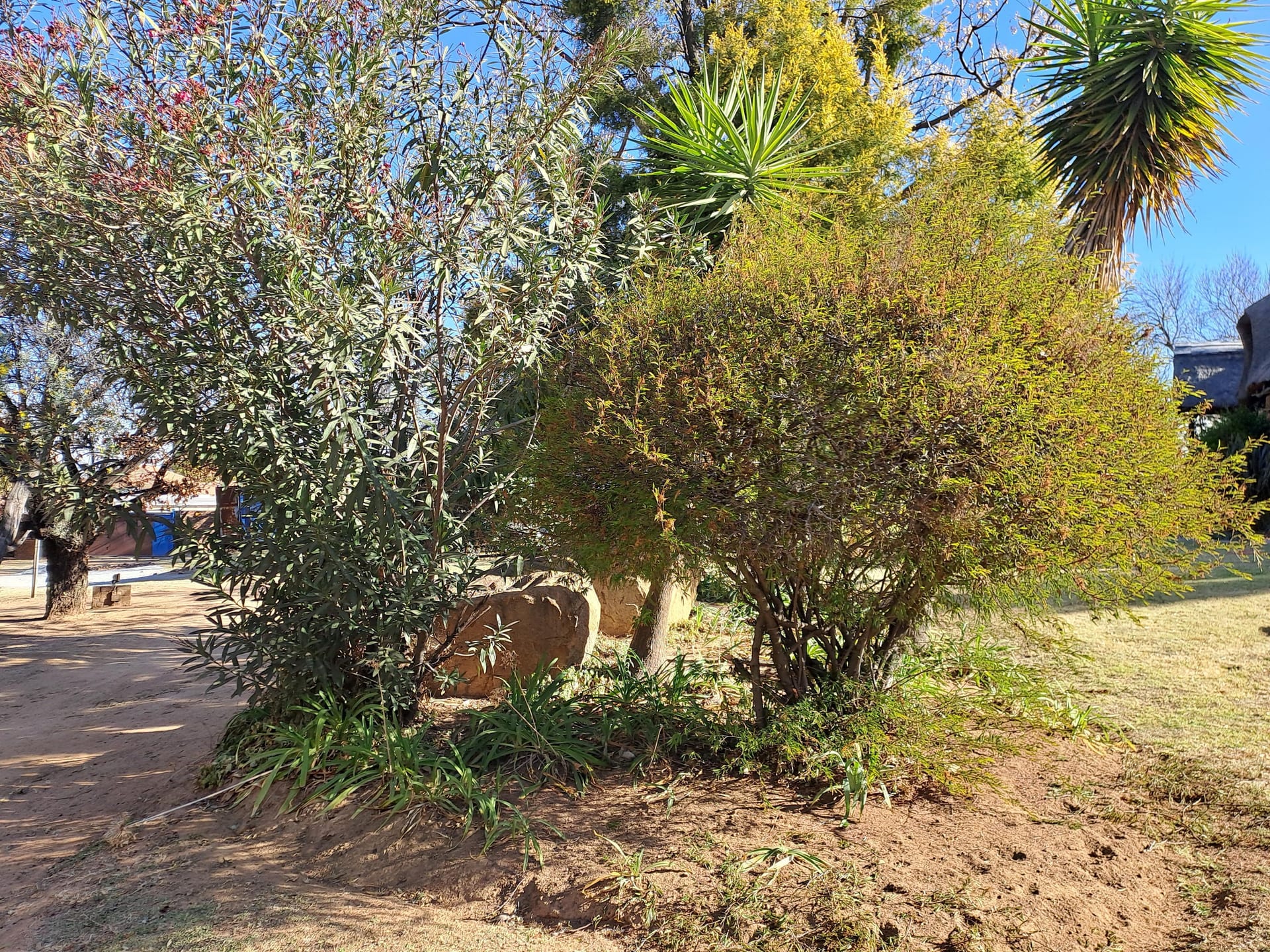 Property Pic