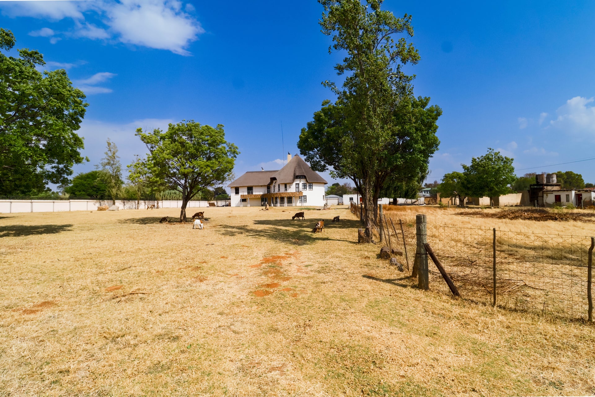 Property Pic