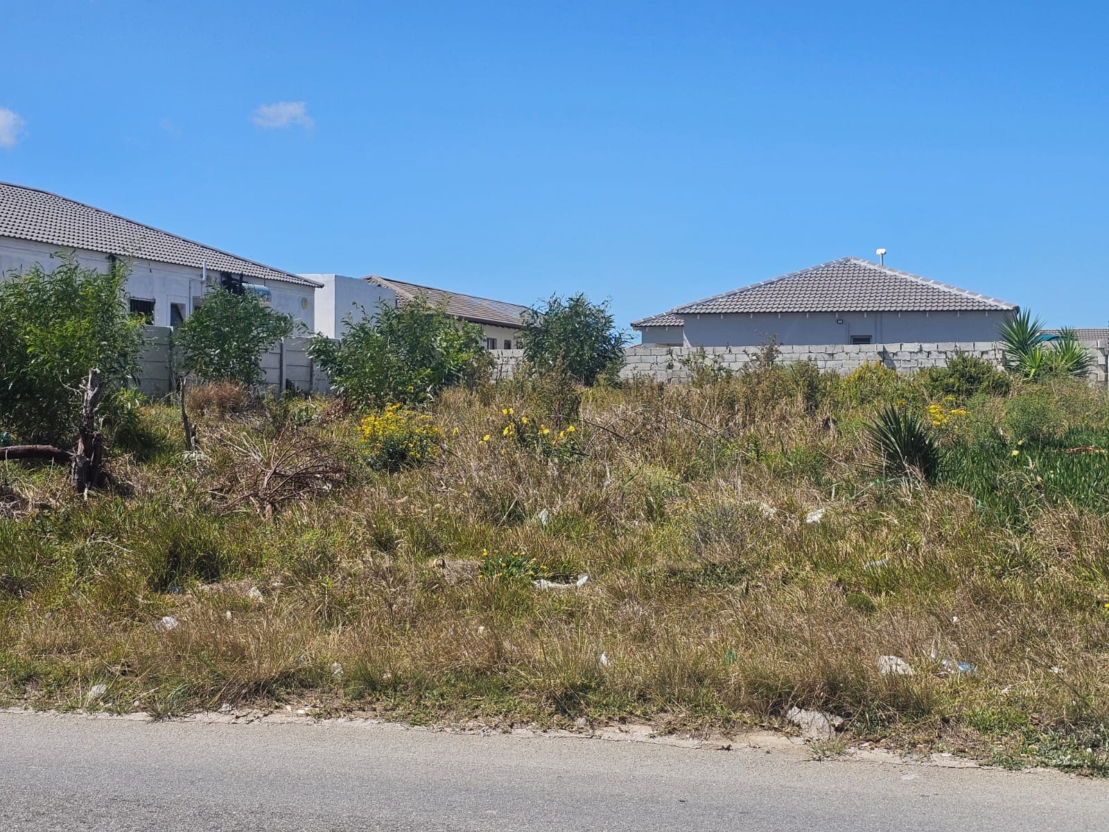 Property Pic