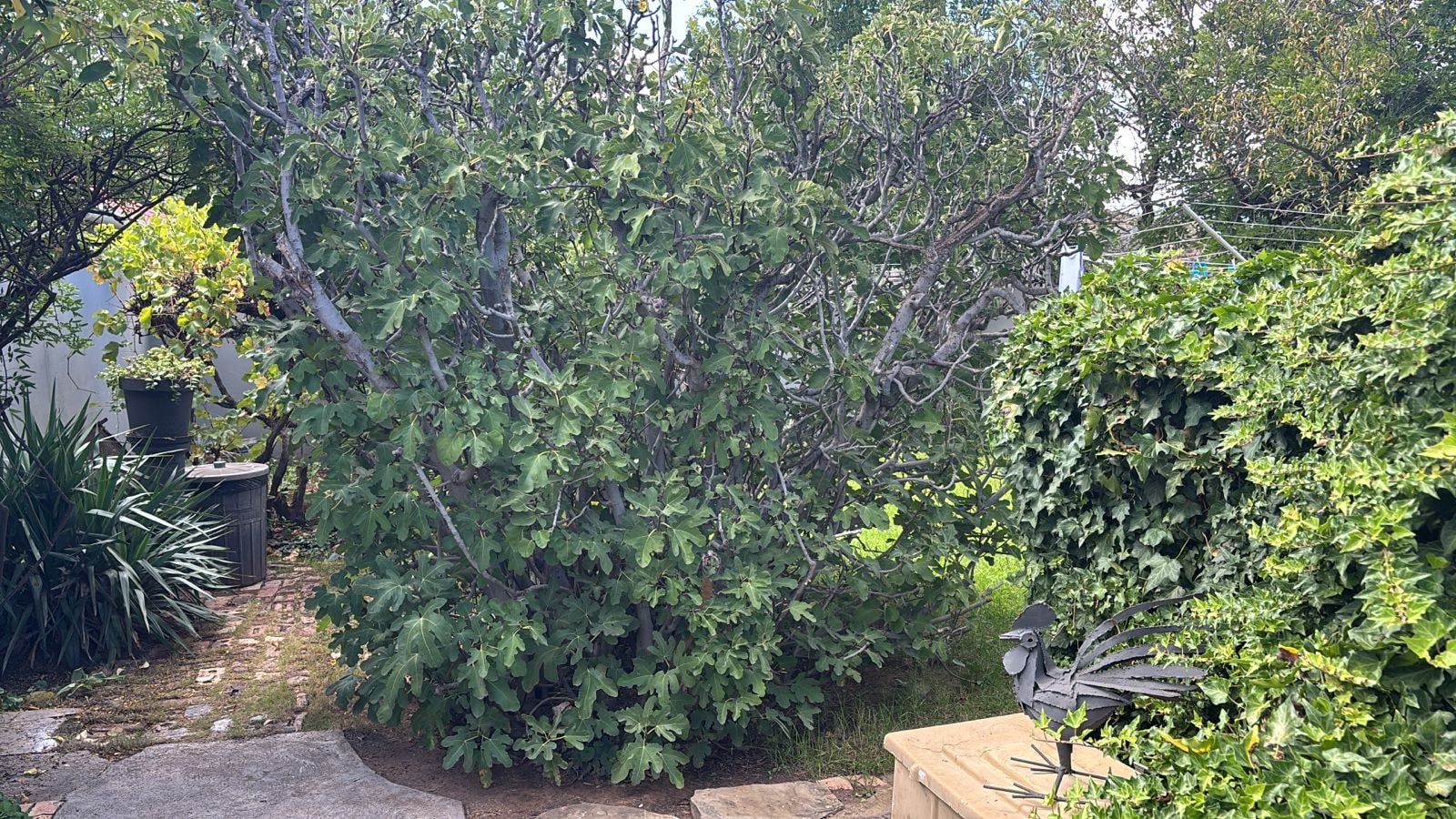Property Pic