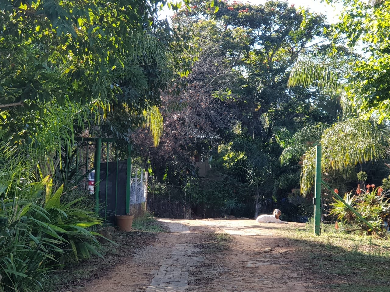 Property Pic