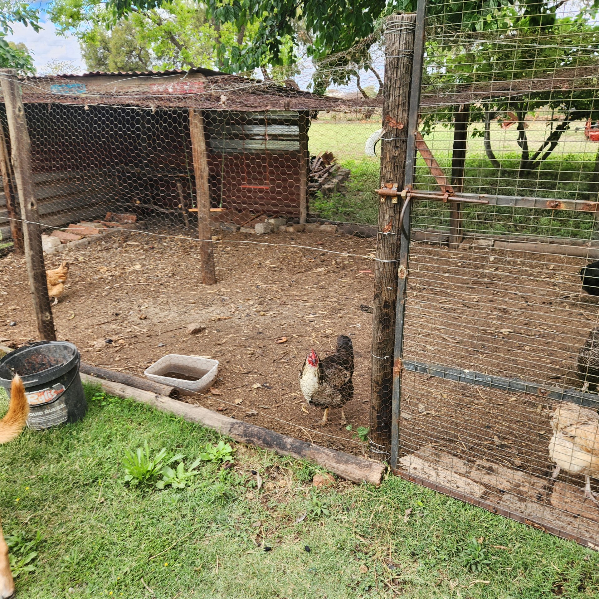 Property Pic