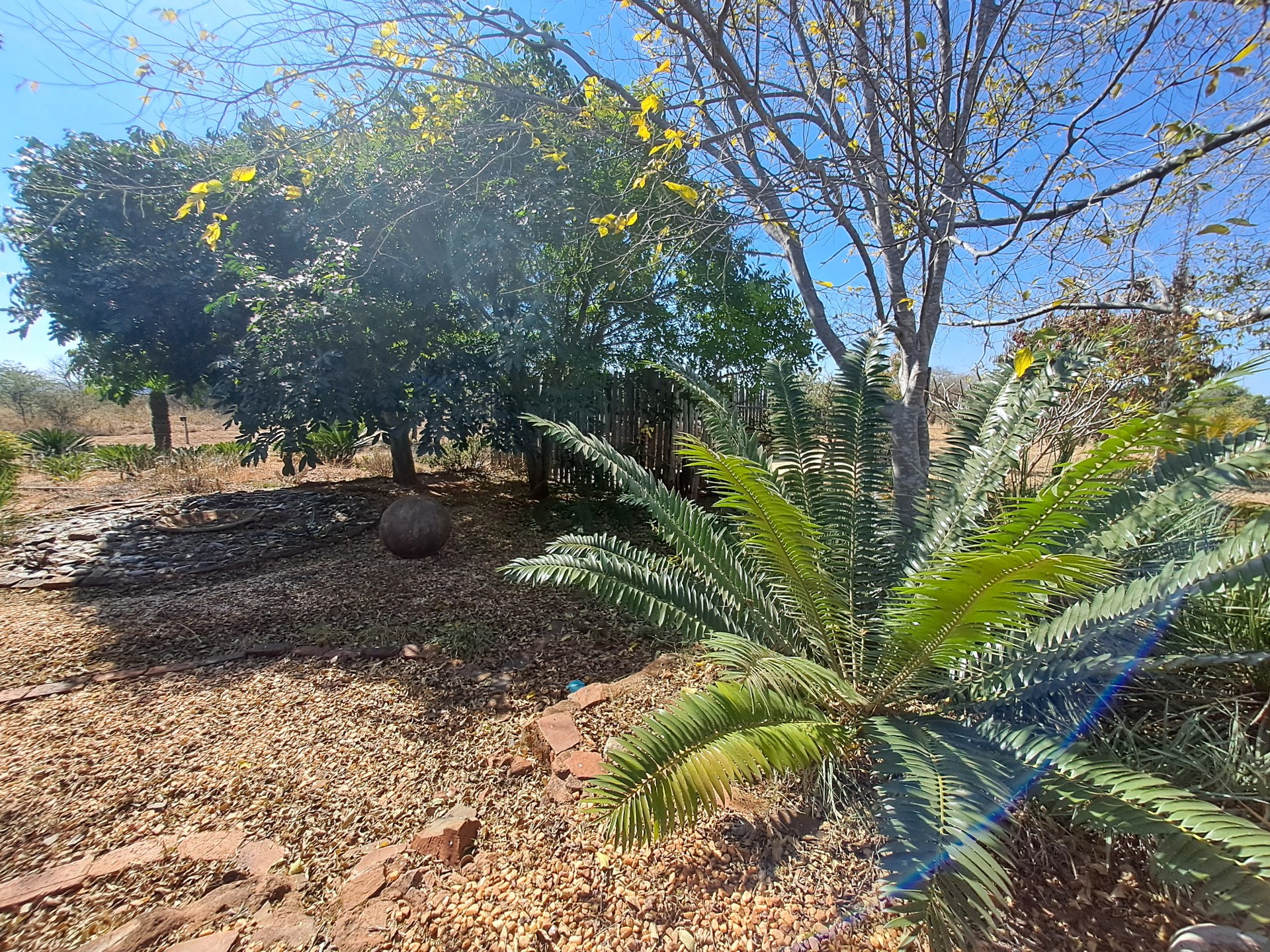 Property Pic