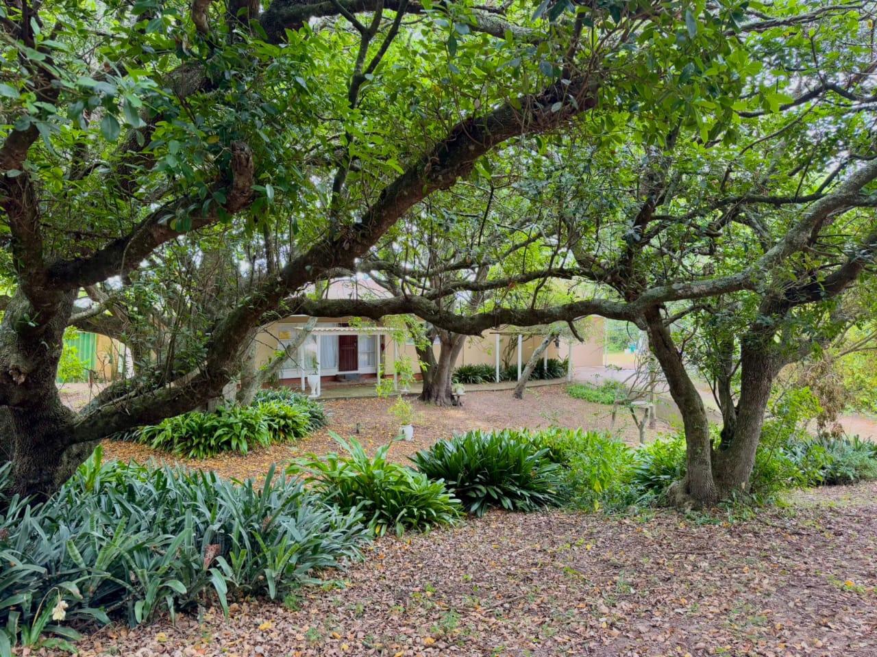 Property Pic