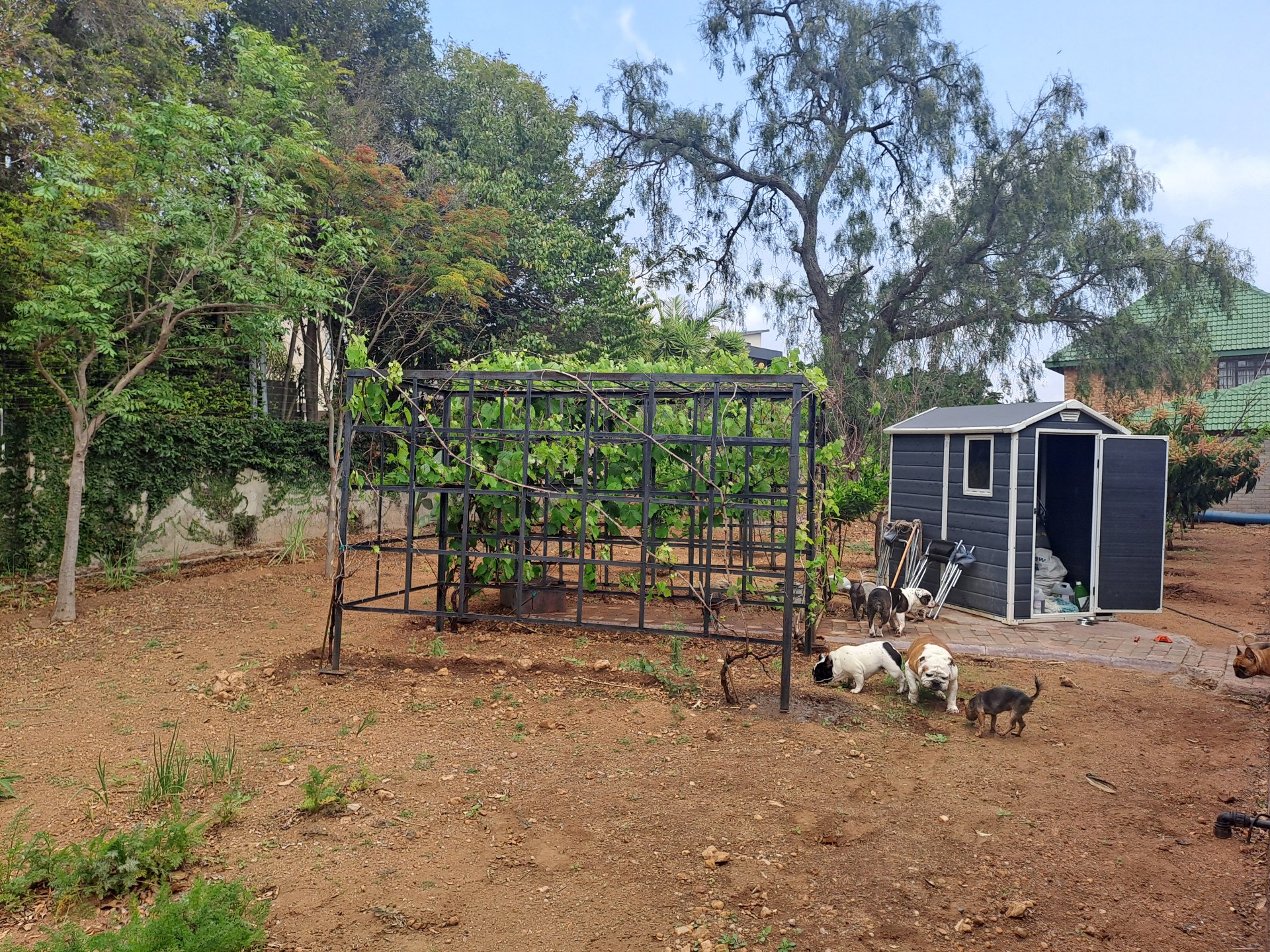 Property Pic