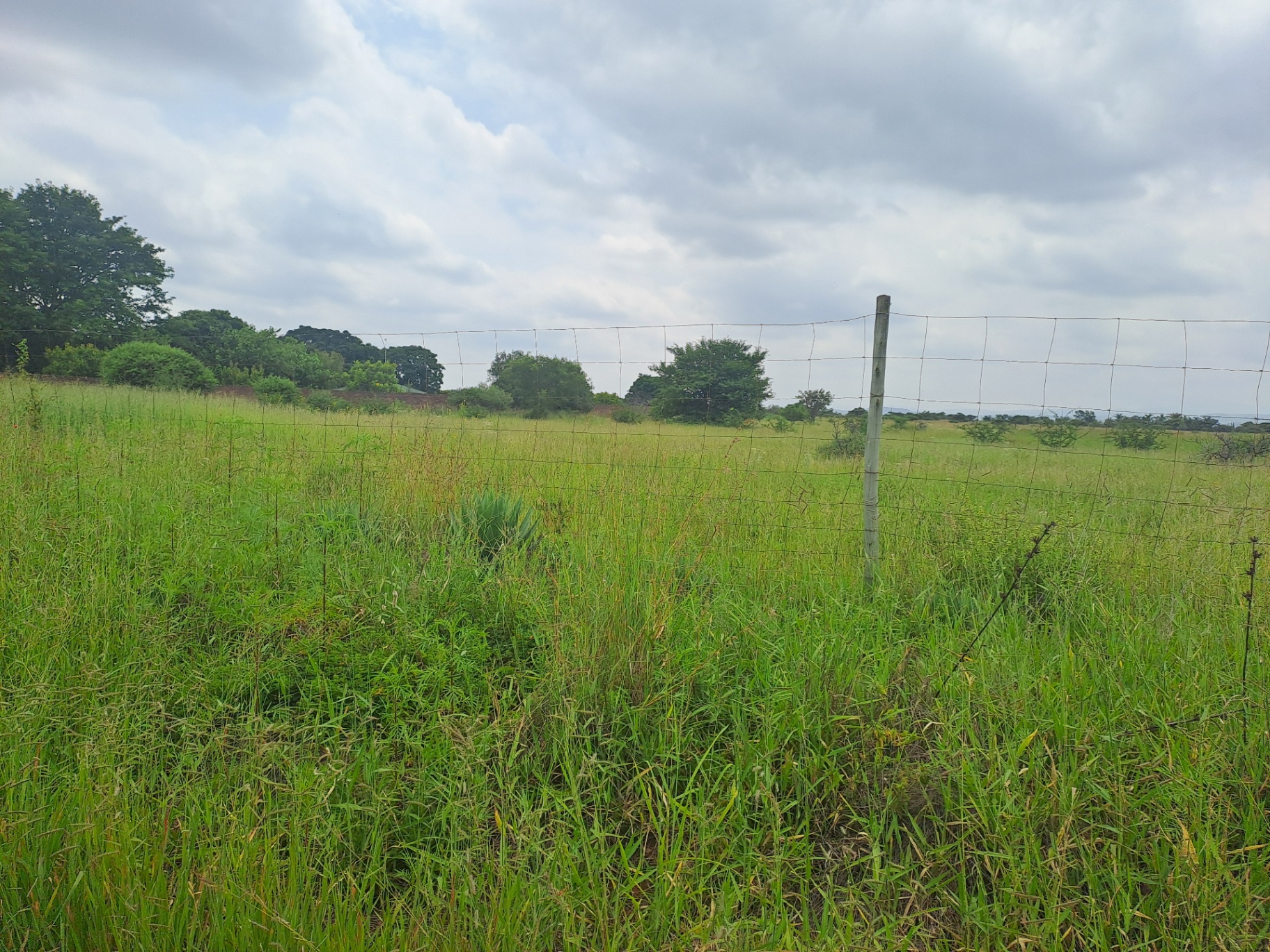 Property Pic