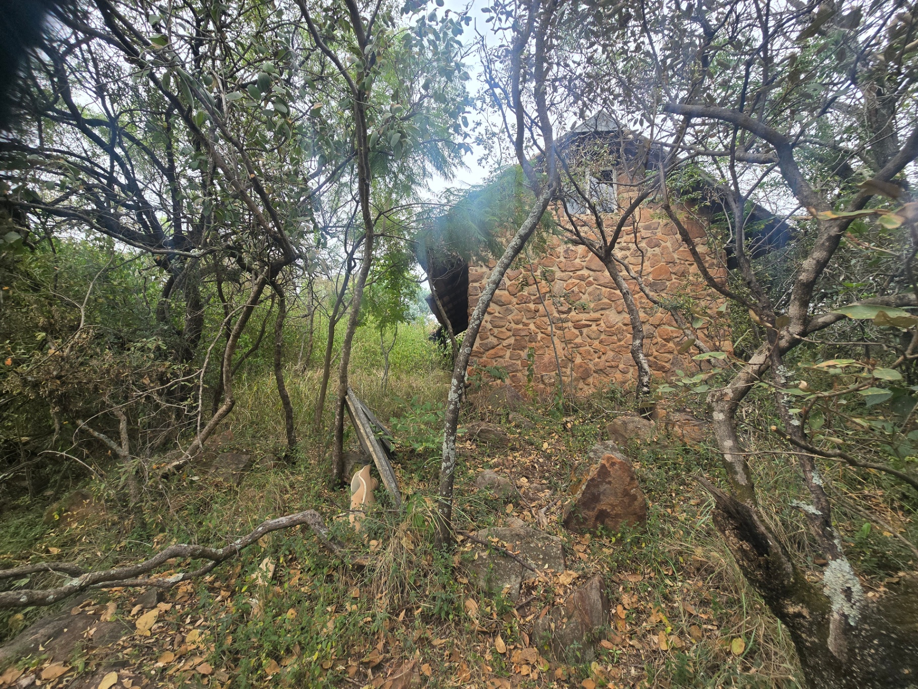 Property Pic