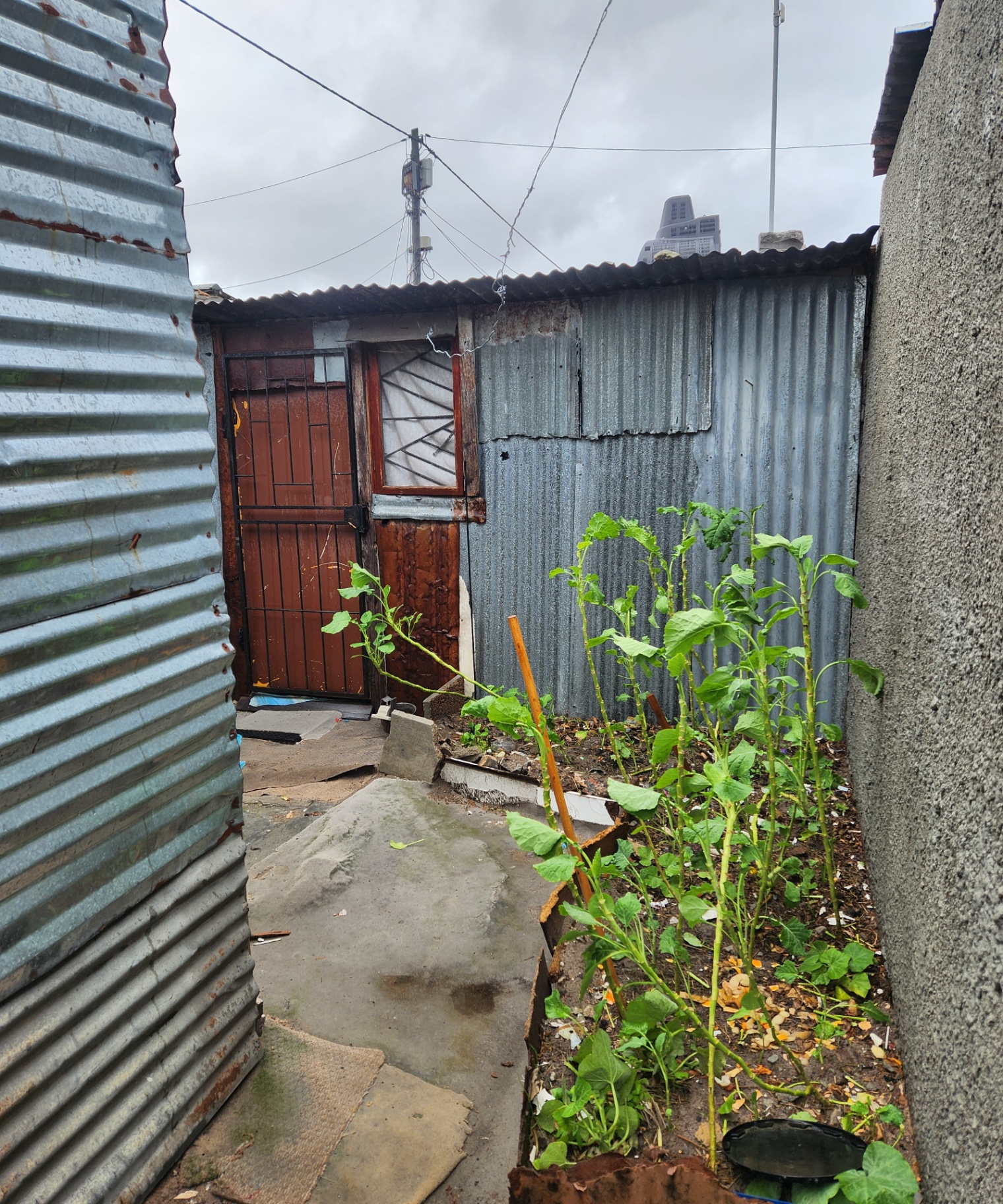 Property Pic
