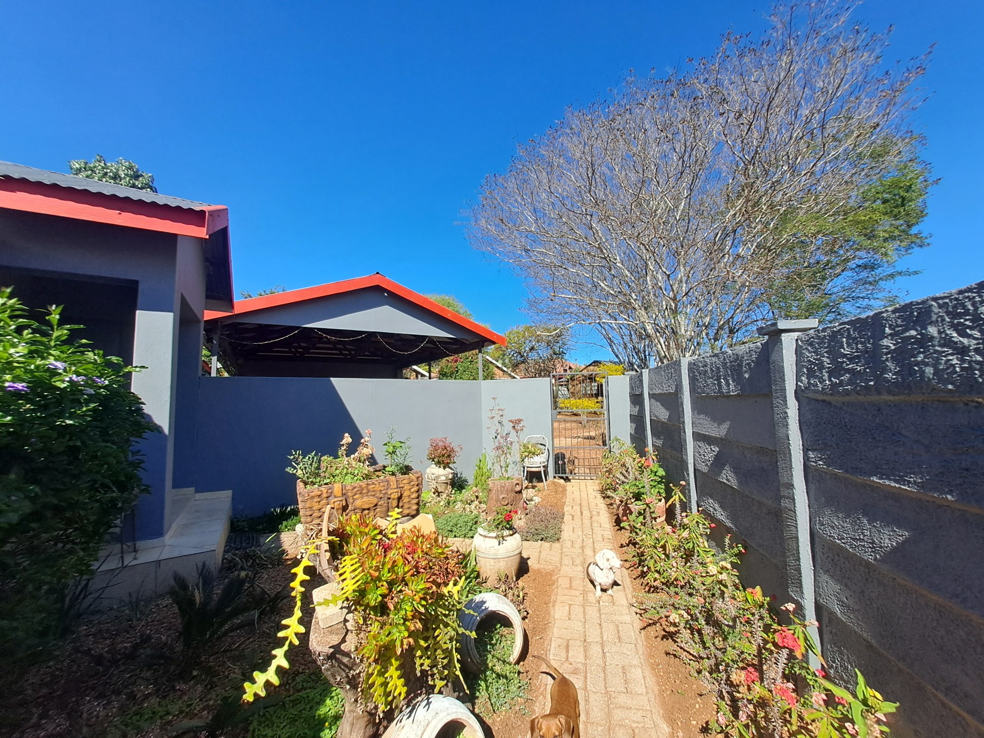 Property Pic