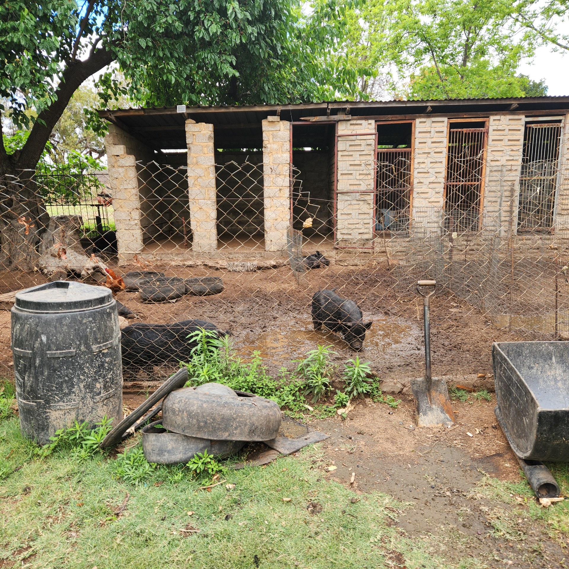 Property Pic