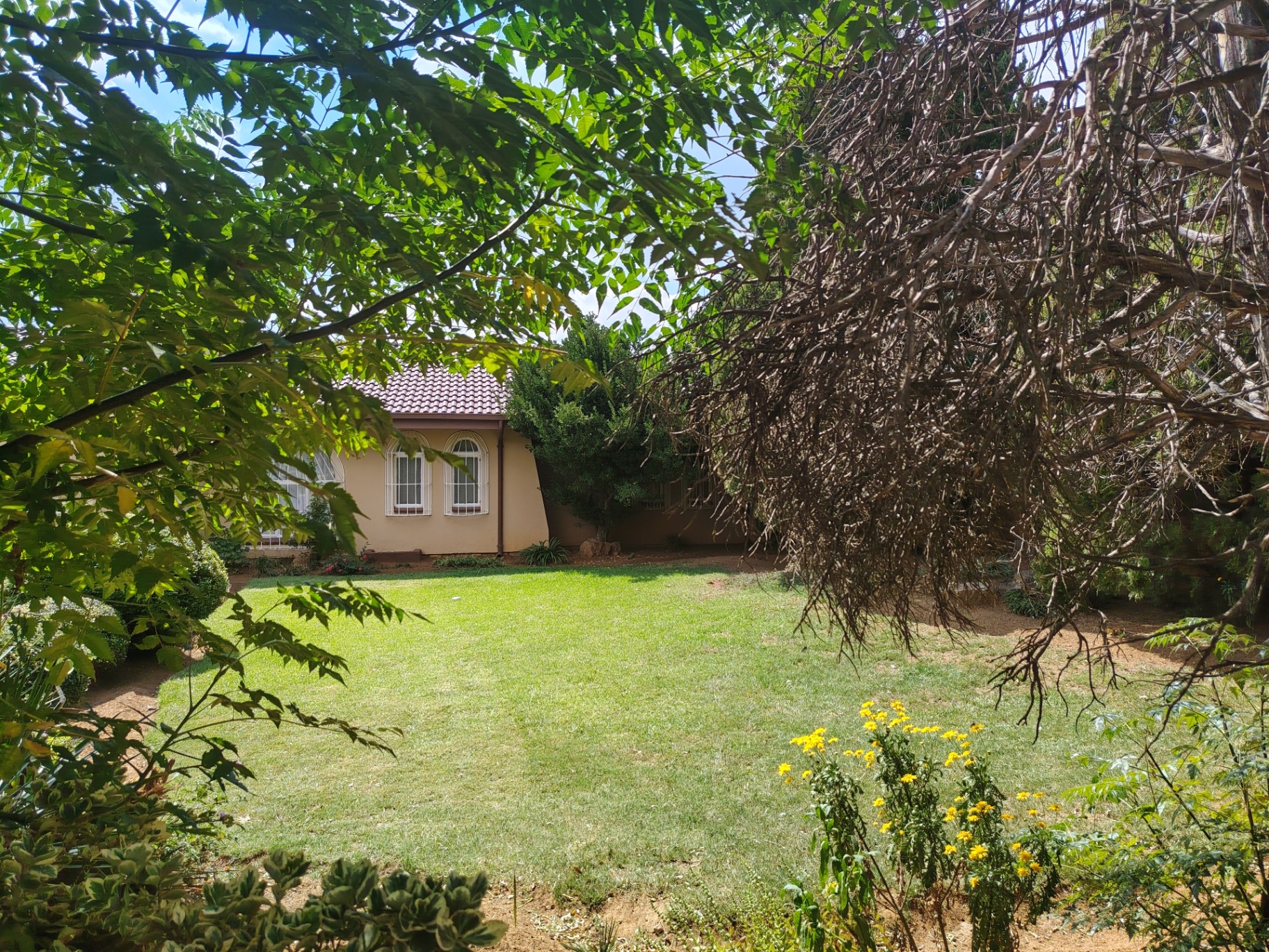 Property Pic