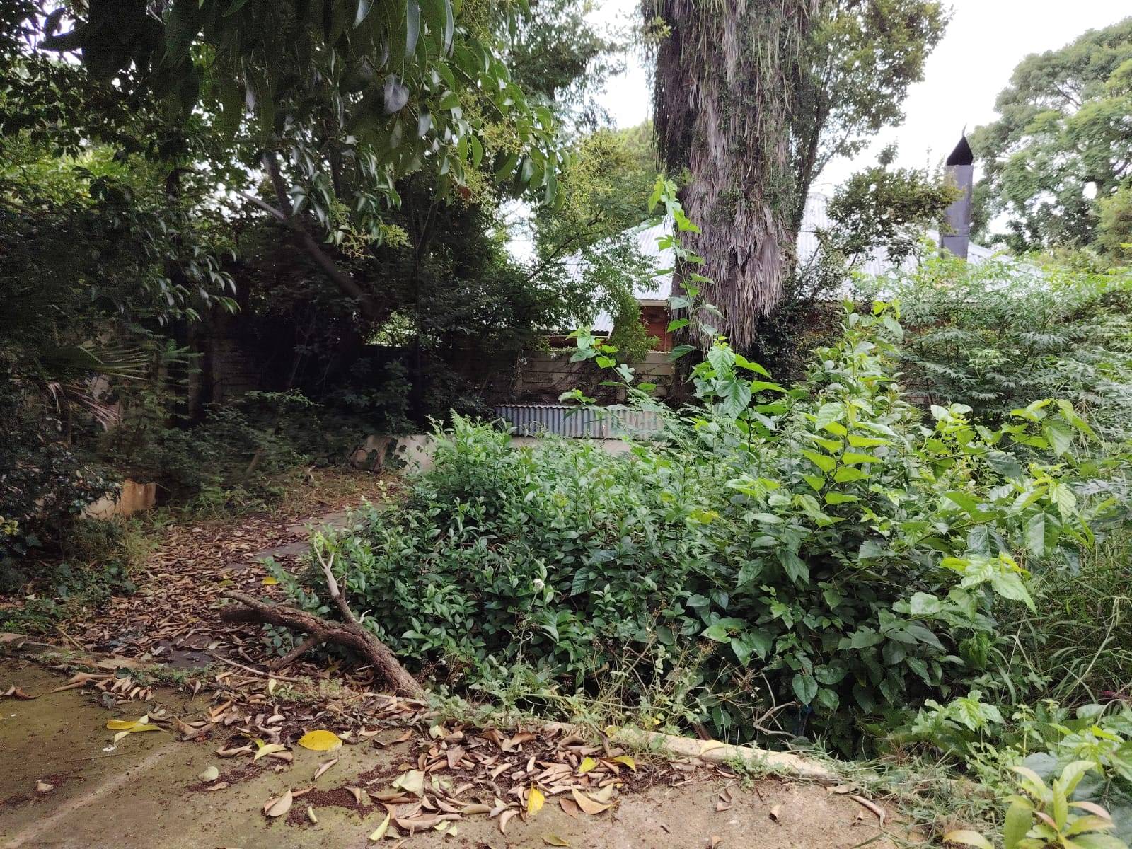 Property Pic