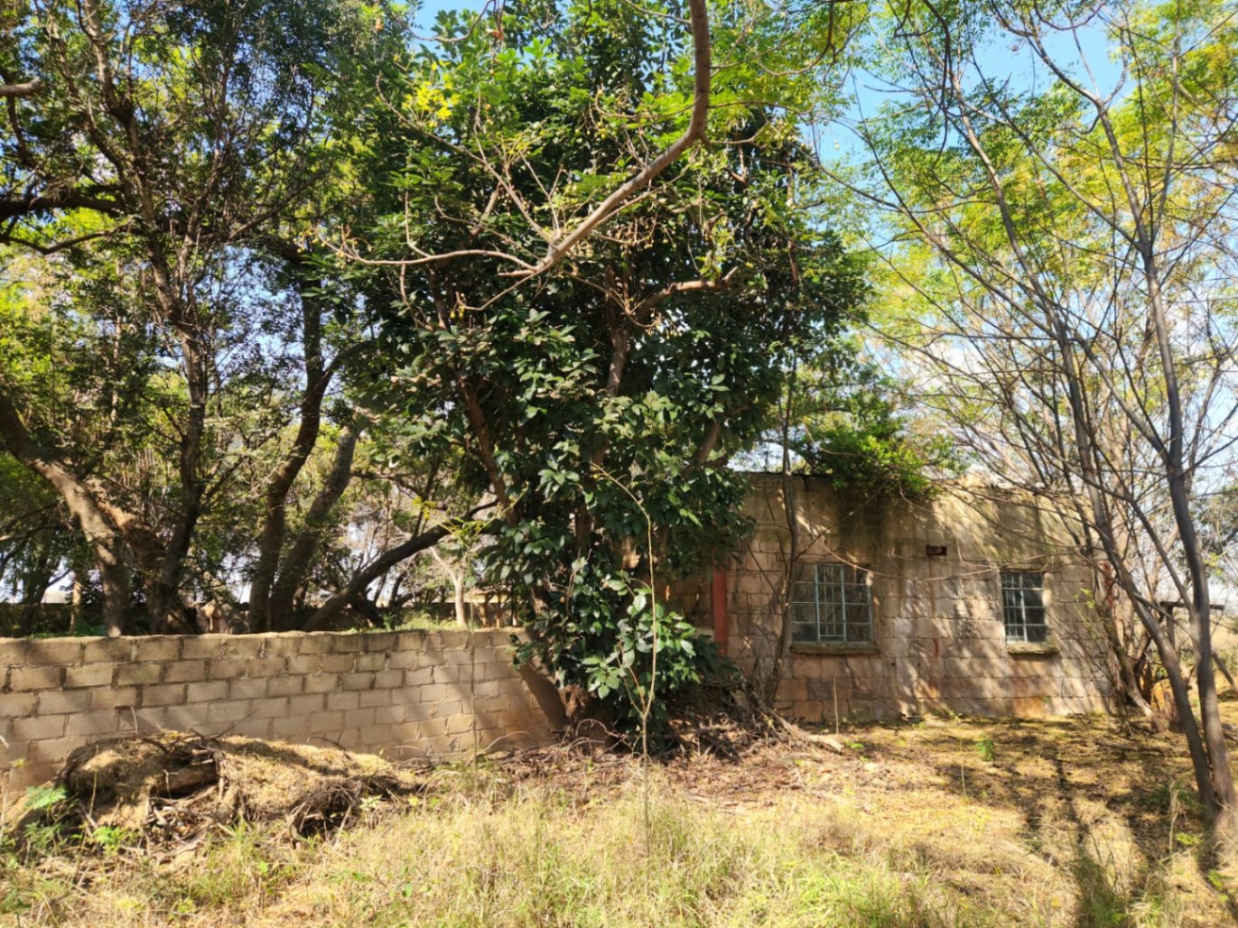 Property Pic