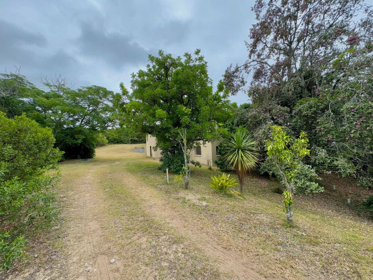 Property Pic