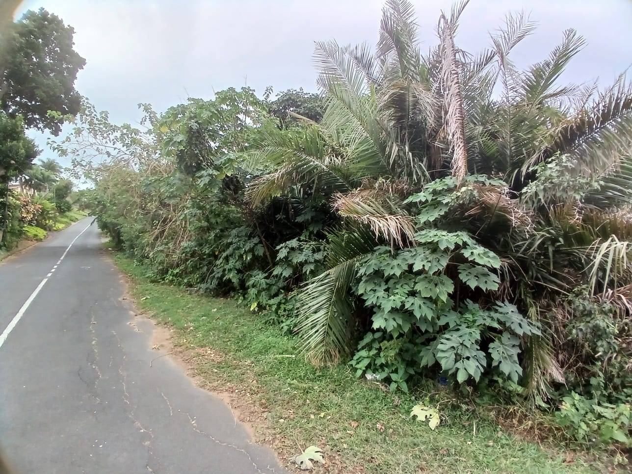 Property Pic
