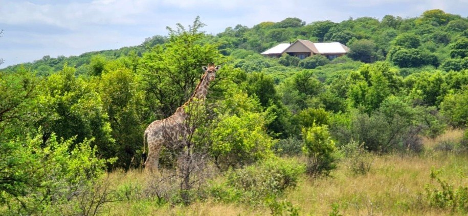 Property Pic