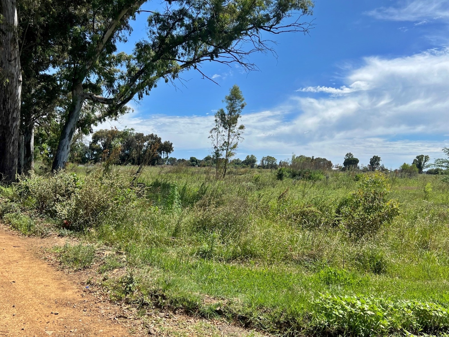 Property Pic