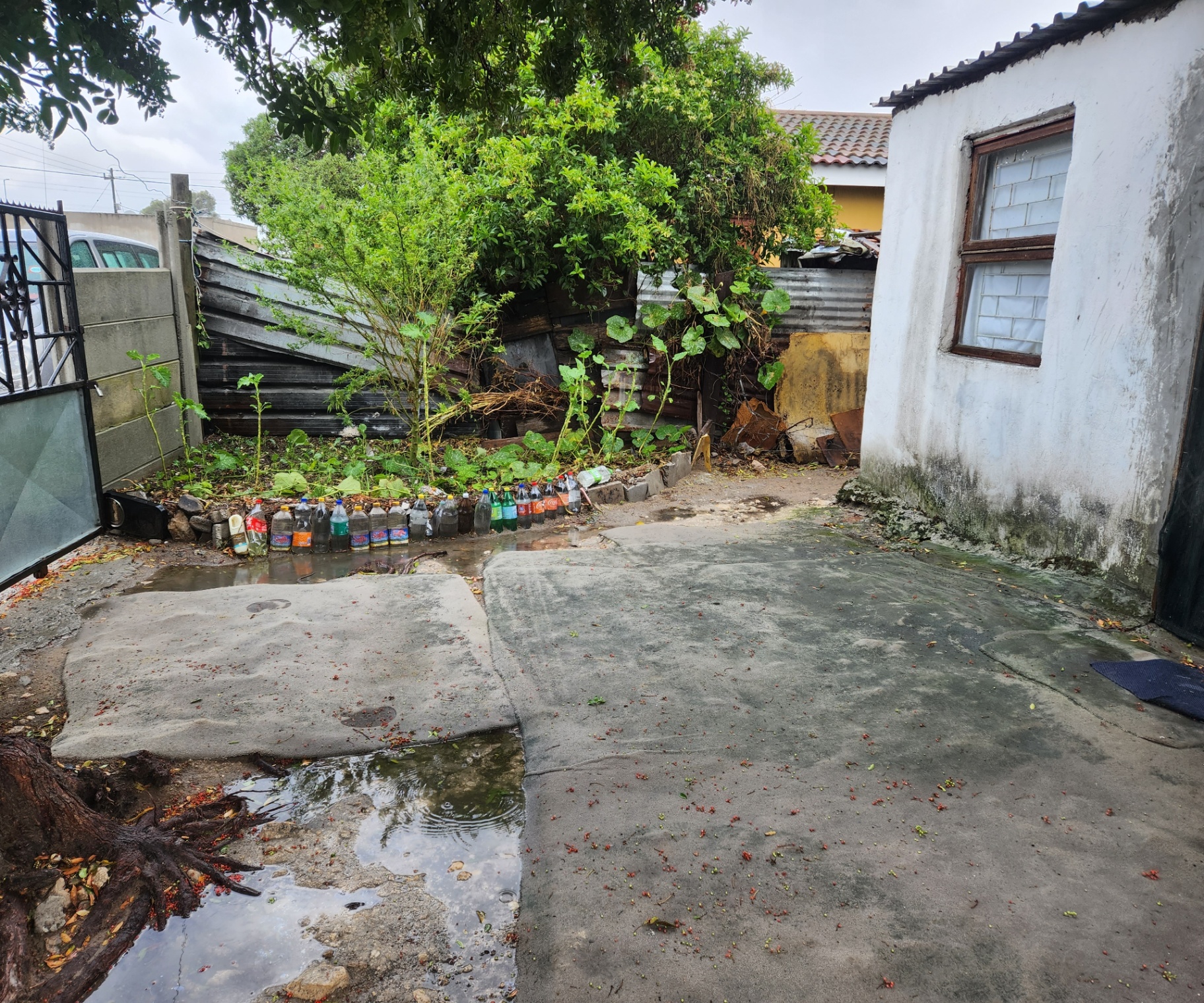 Property Pic