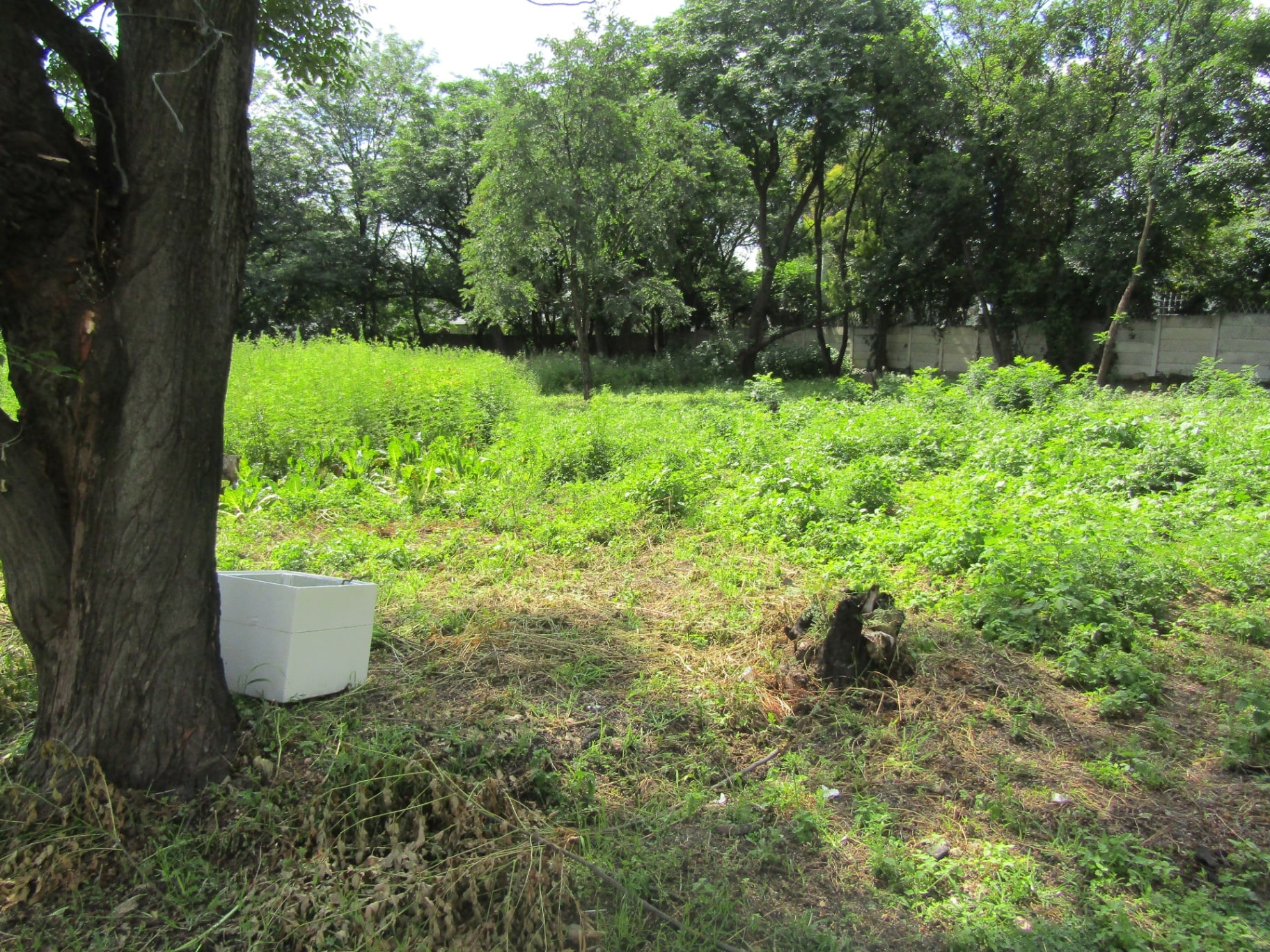 Property Pic